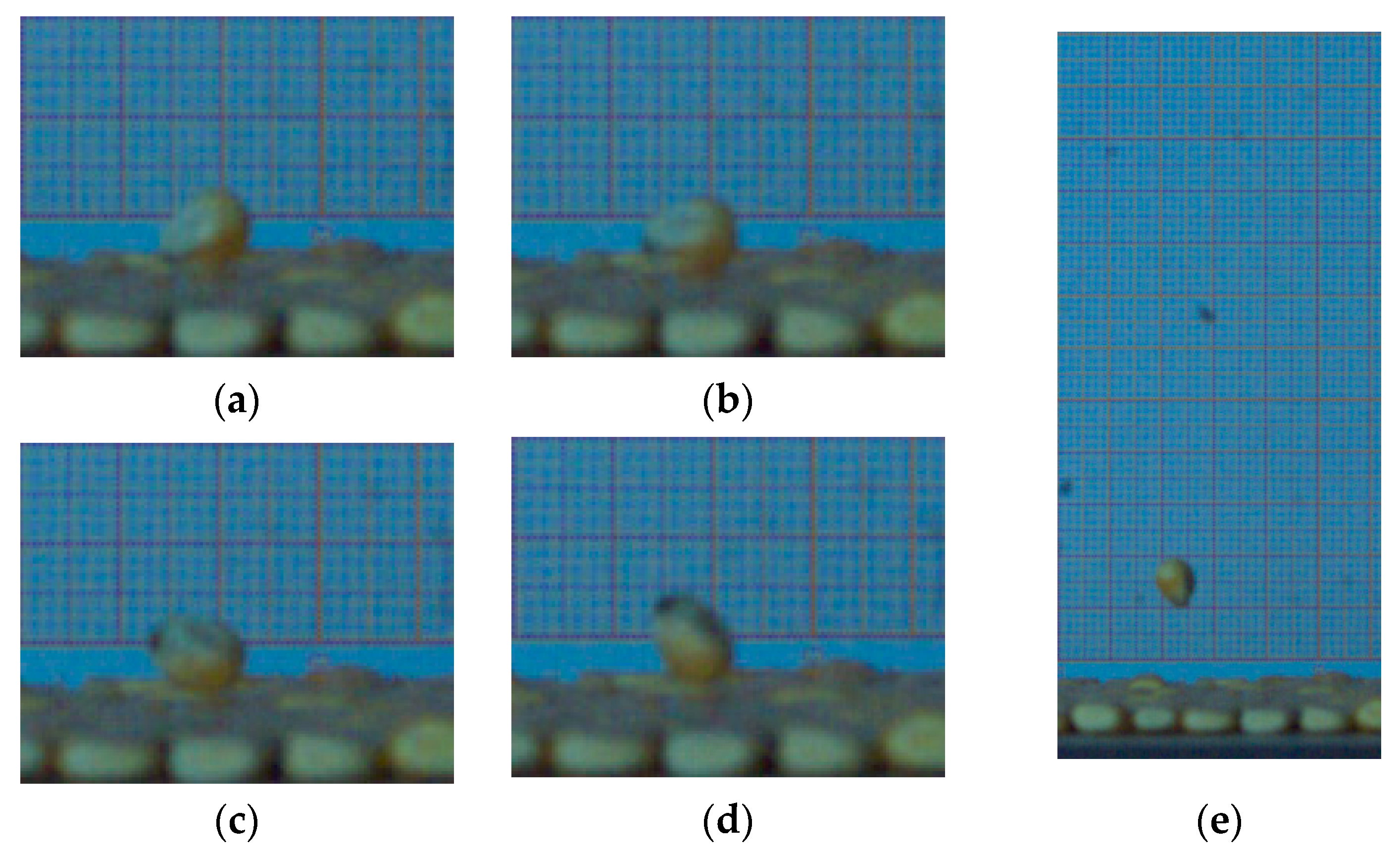 Agriculture 13 01677 g011