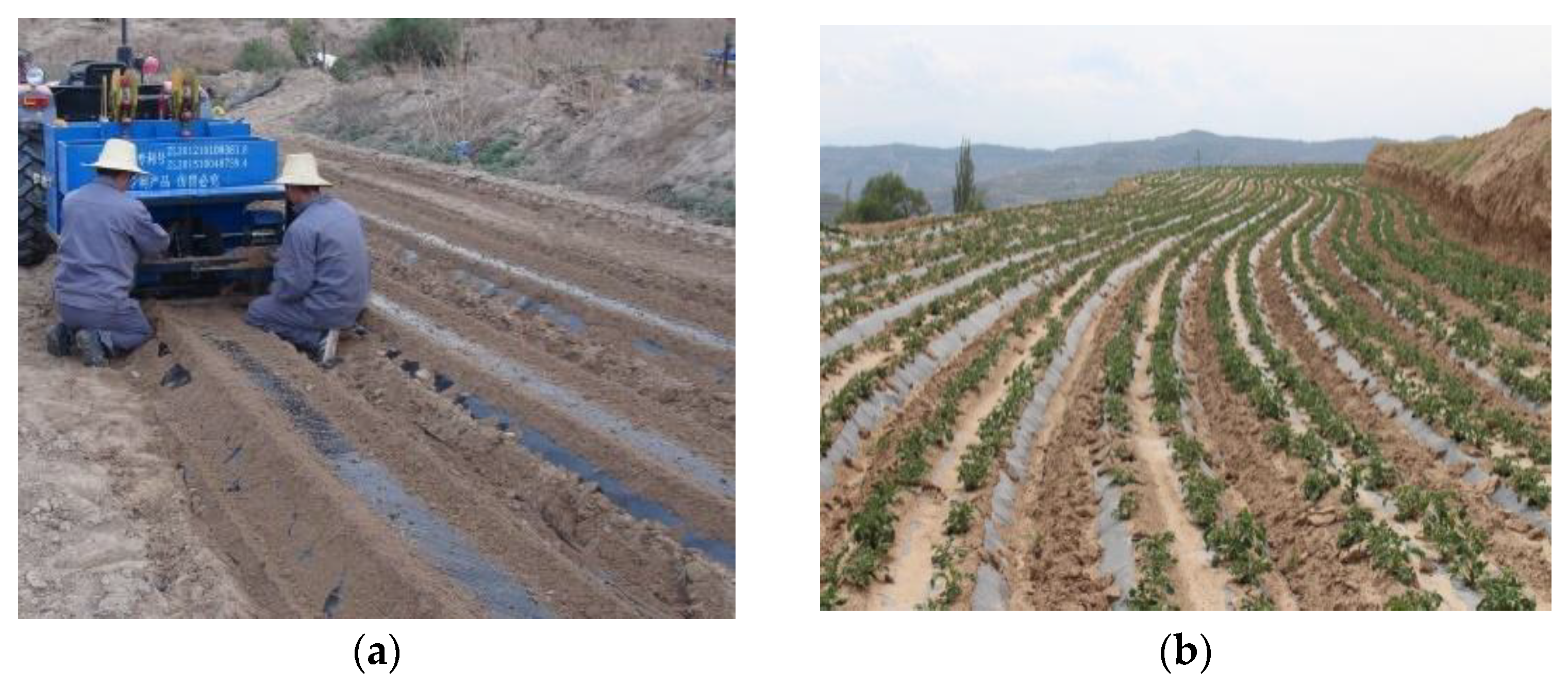 Agriculture 13 01680 g011