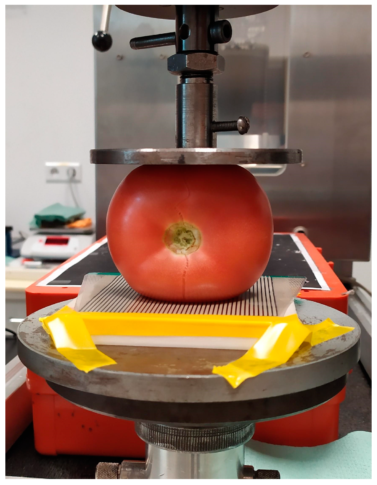 Testing a Tomato Slicer from ! 