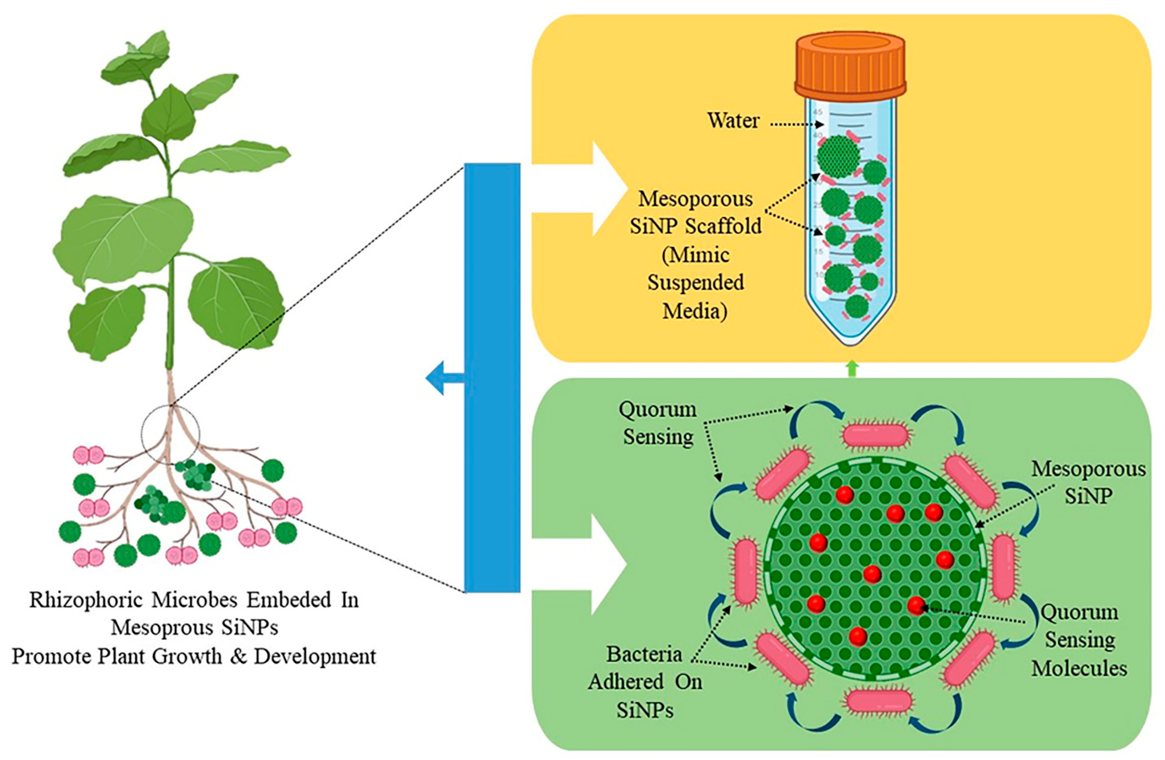 Agriculture 13 01865 g002
