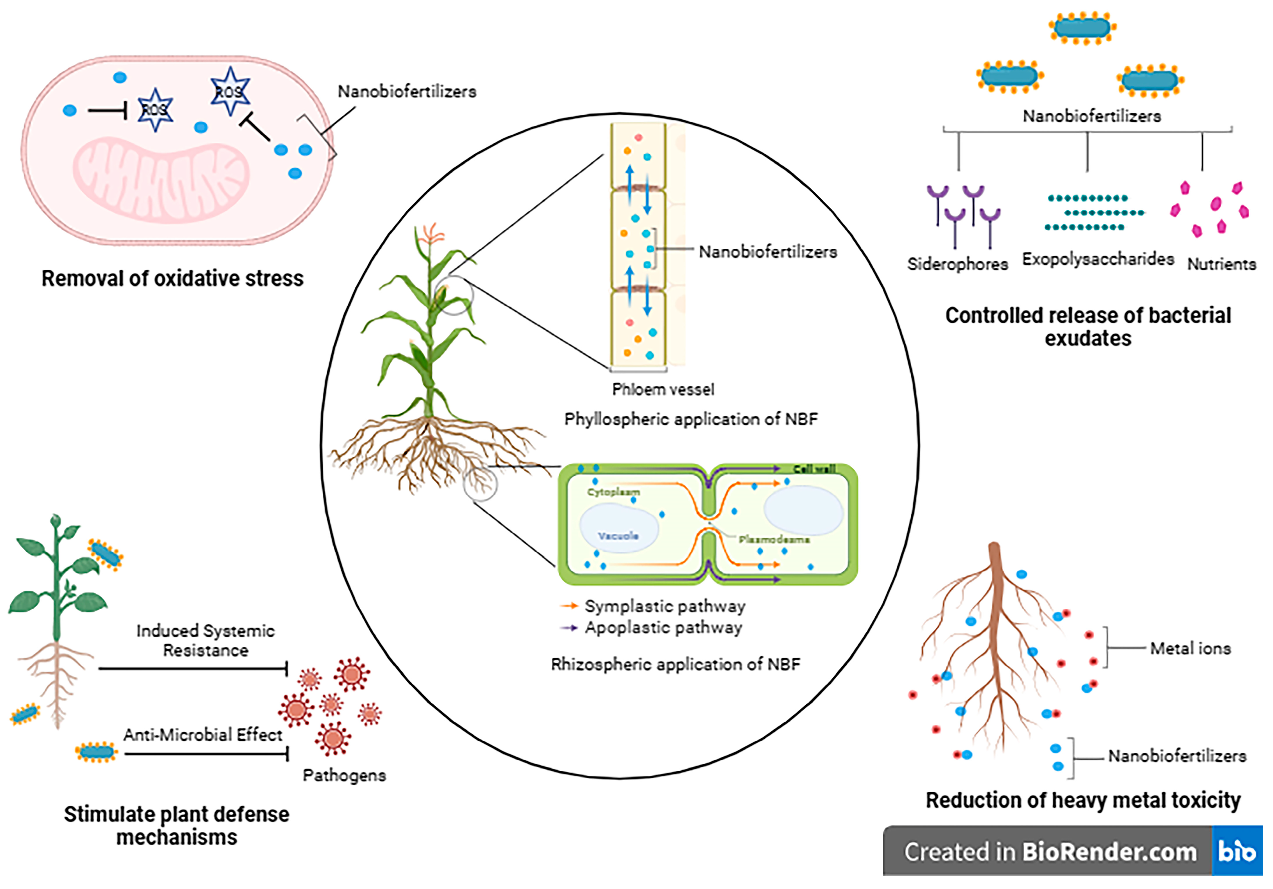 Agriculture 13 01865 g003