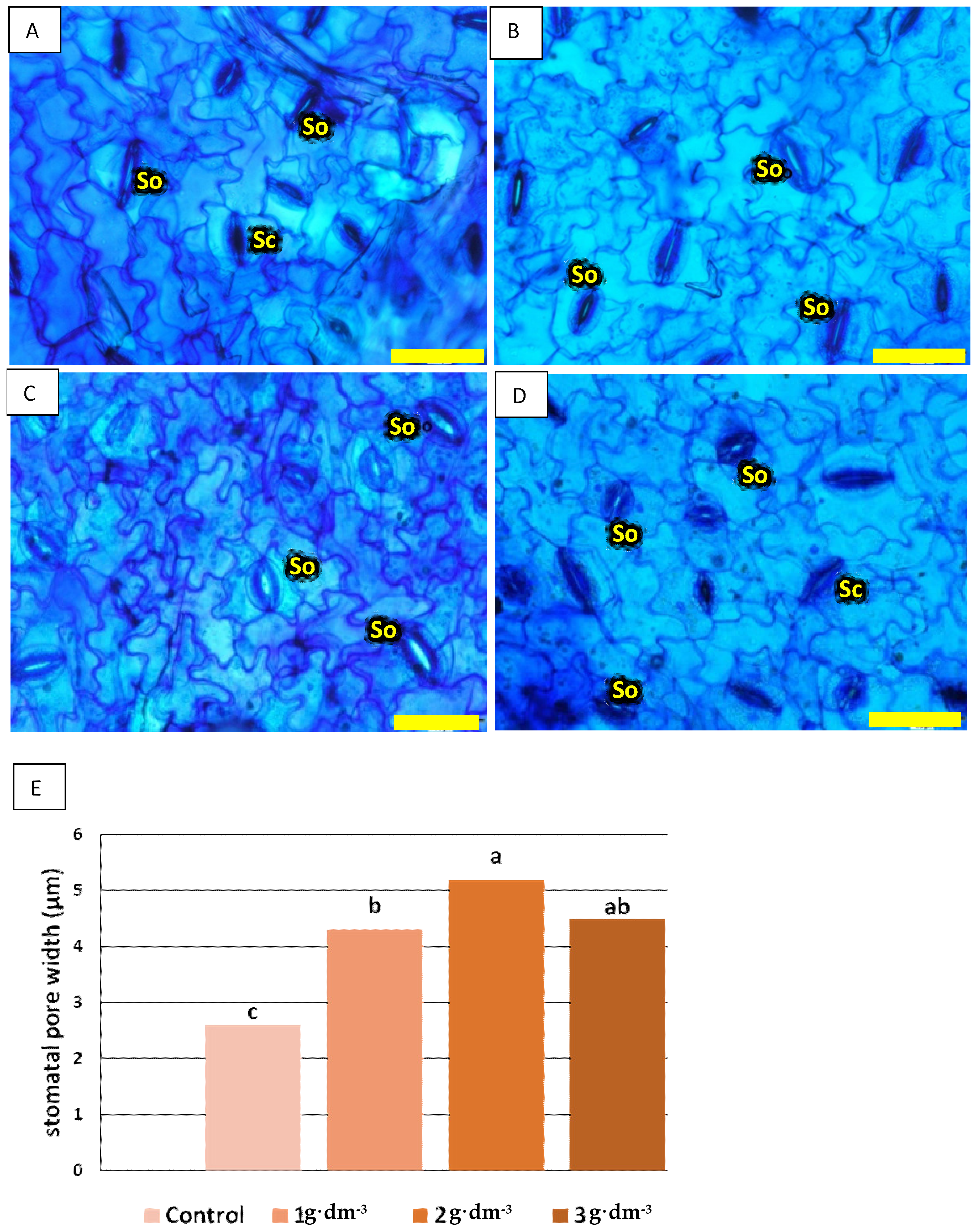 Agriculture 13 01893 g013