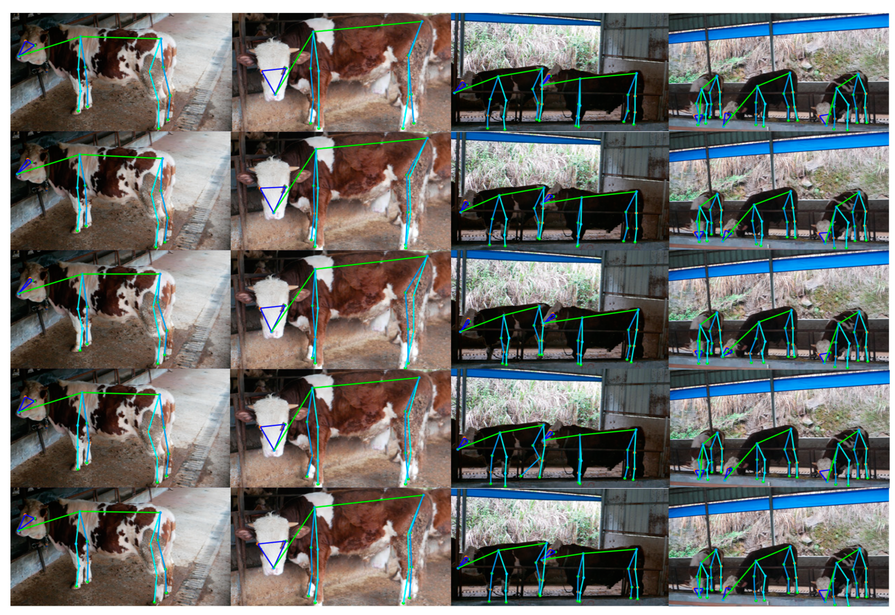 Agriculture 13 01938 g012