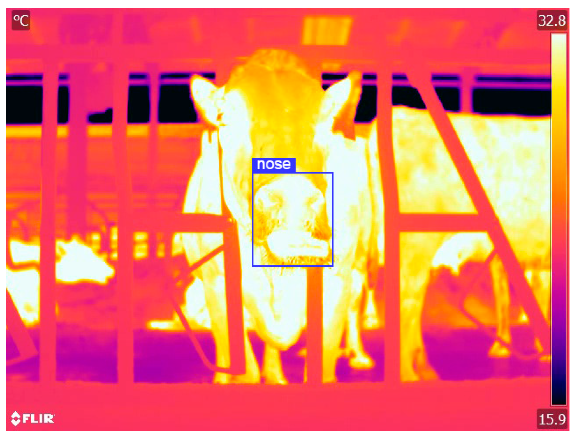 Agriculture 13 01939 g003