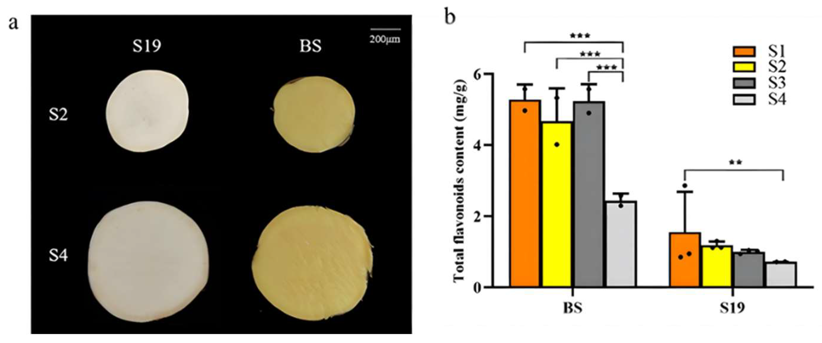 Agriculture 13 01955 g002