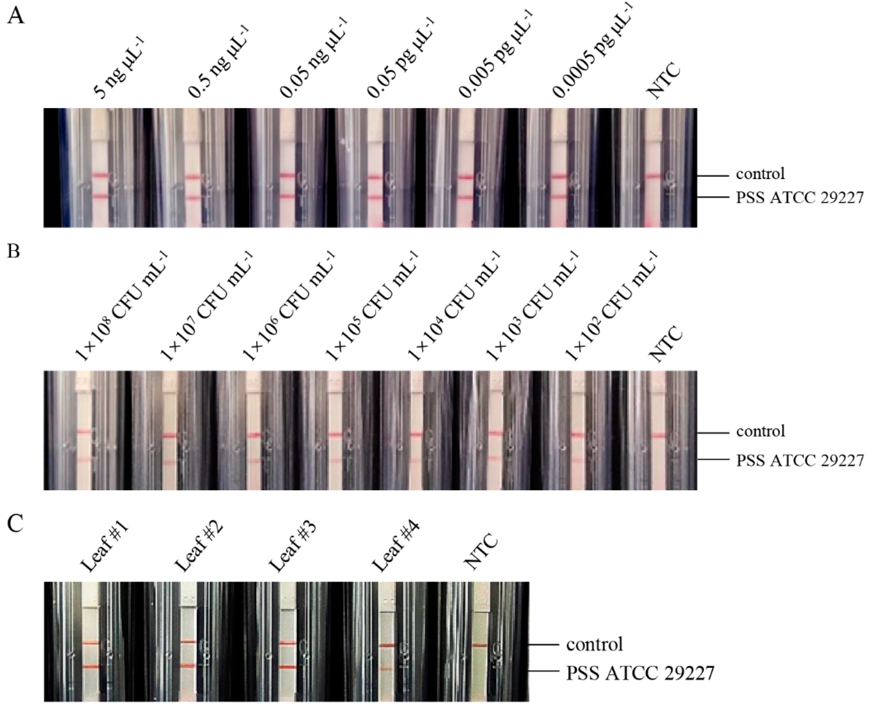 Agriculture 13 01982 g004