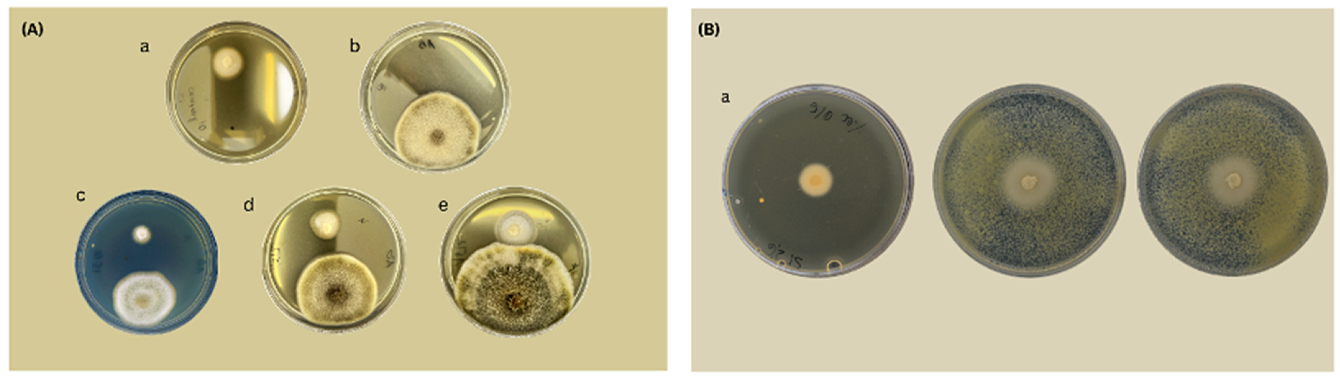 Agriculture 13 02048 g004