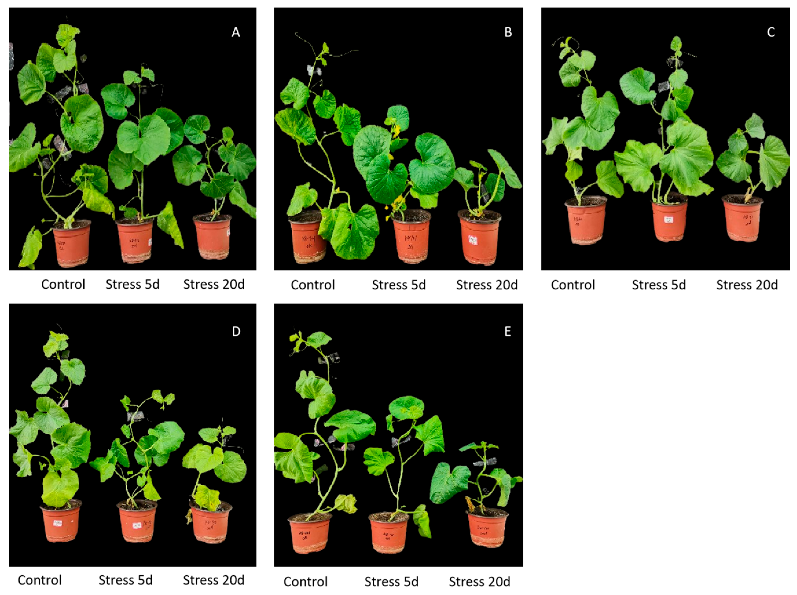 Agriculture 13 02051 g002