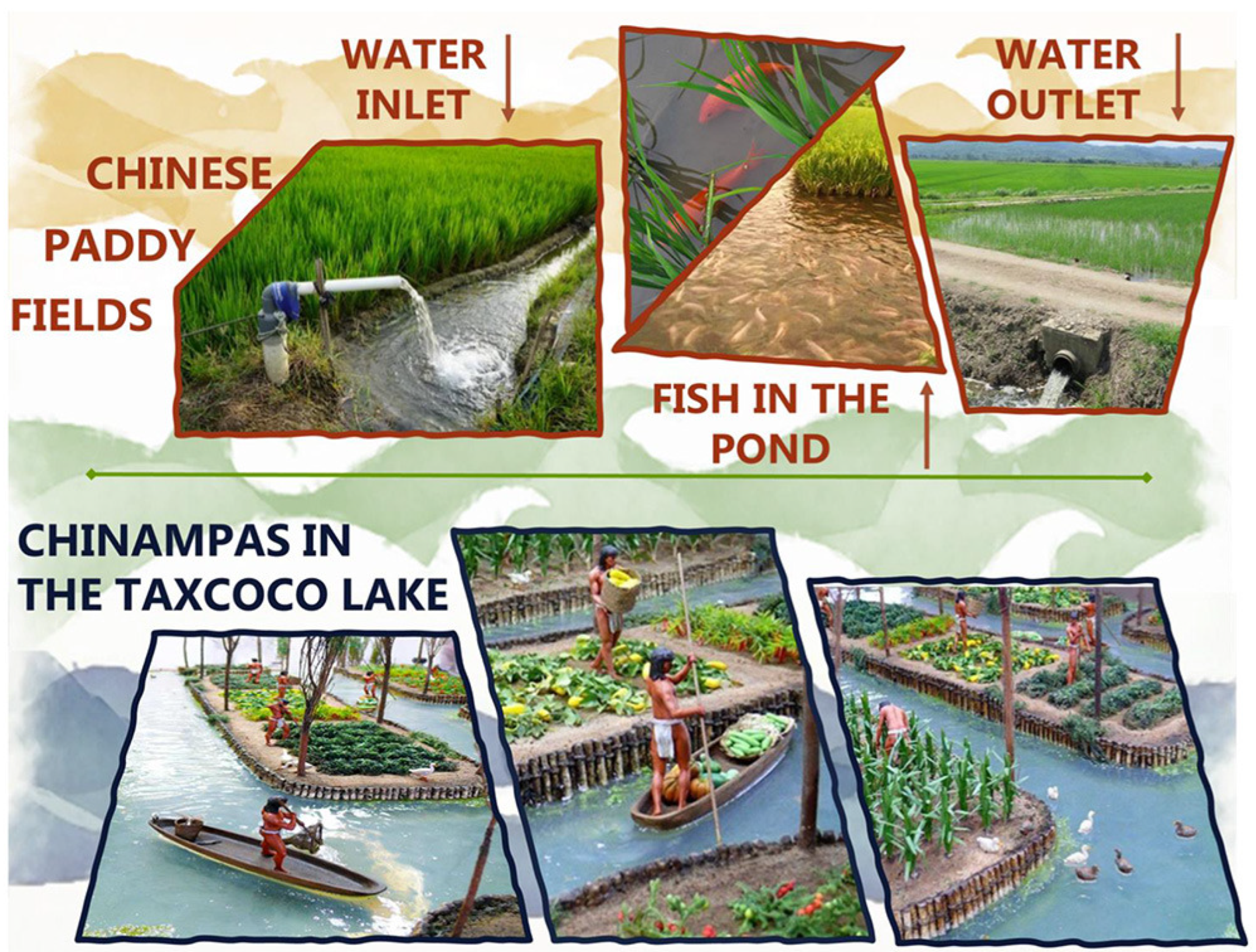 Agriculture 13 02057 g001