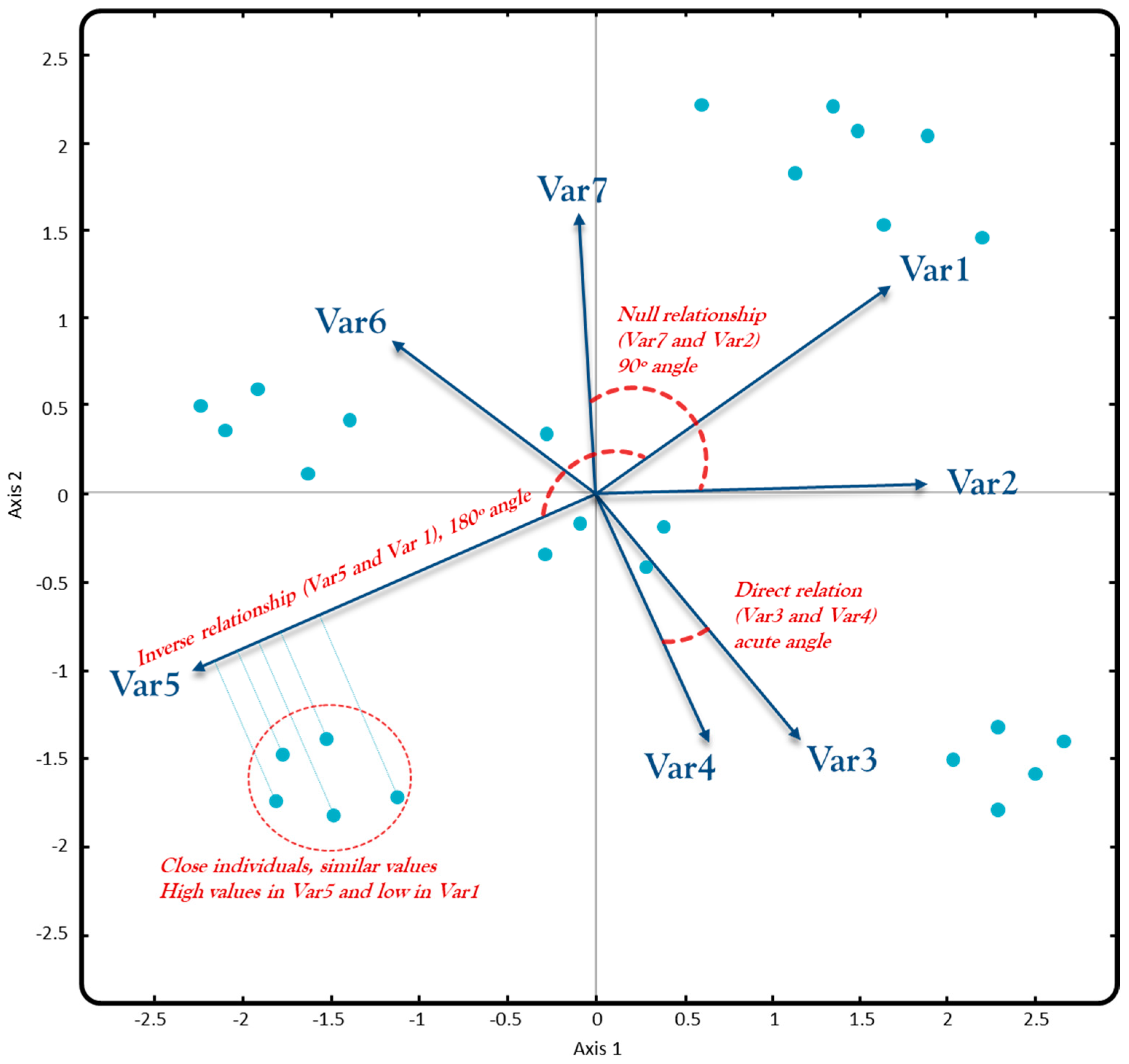 Agriculture 13 02087 g003