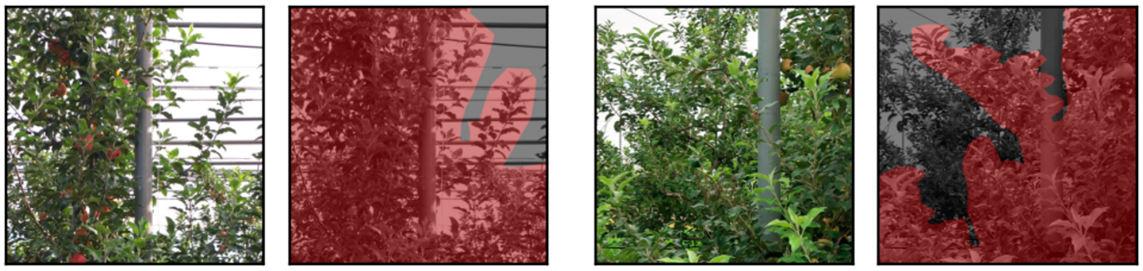 Agriculture 13 02097 g006