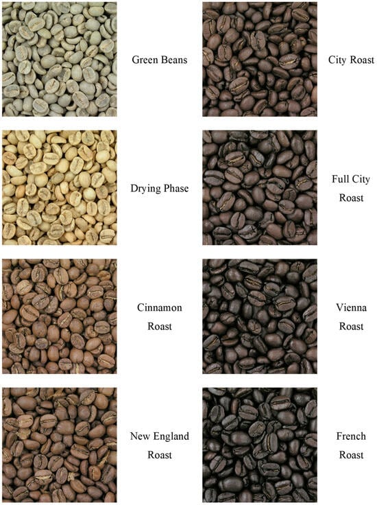 Different on sale coffee roasts