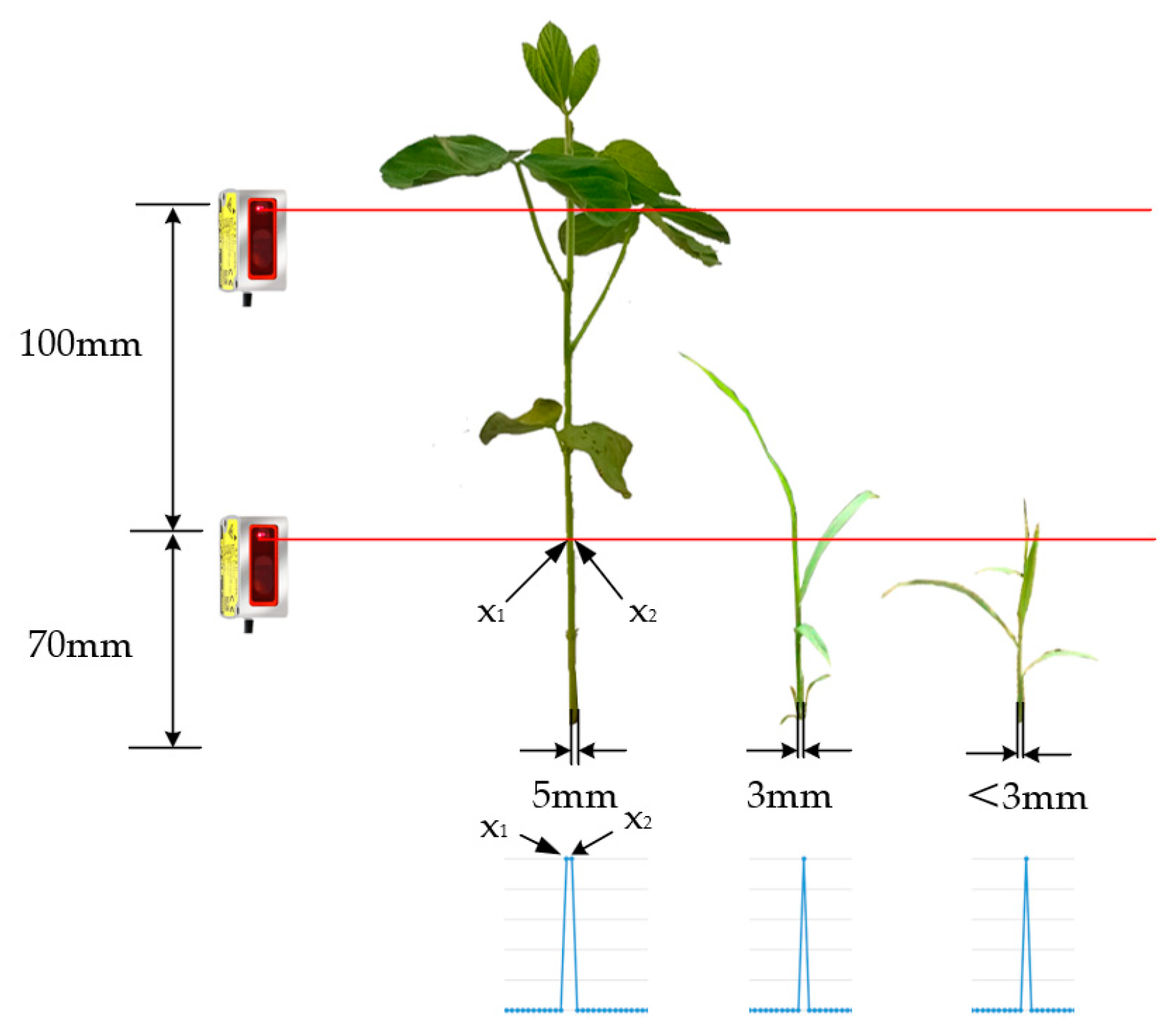 Agriculture 13 02157 g007