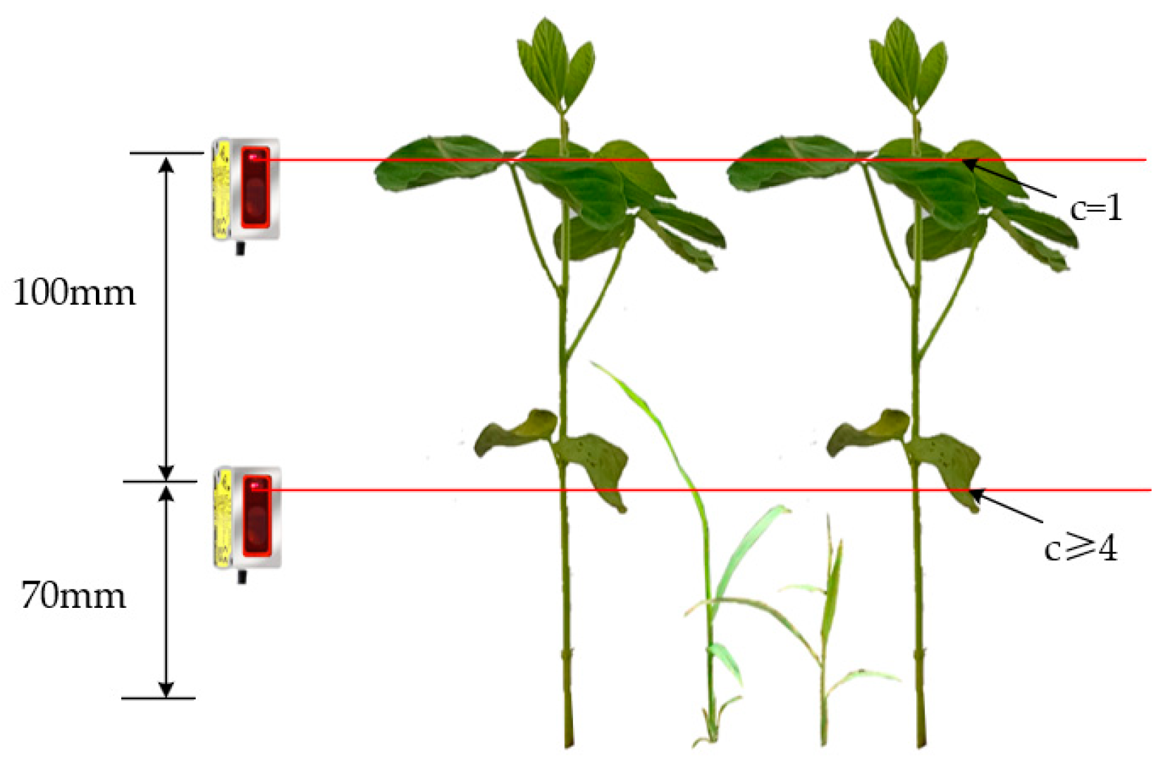 Agriculture 13 02157 g010