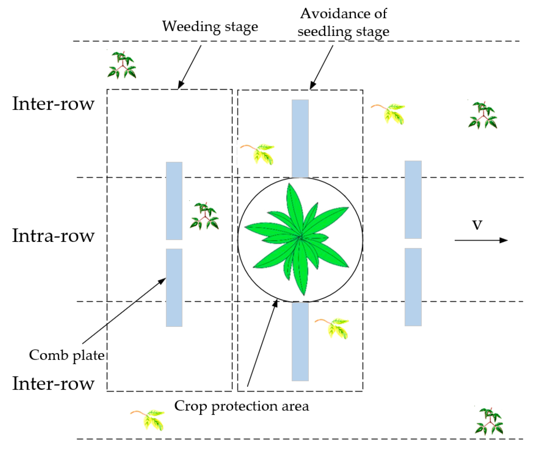 Agriculture 13 02157 g012