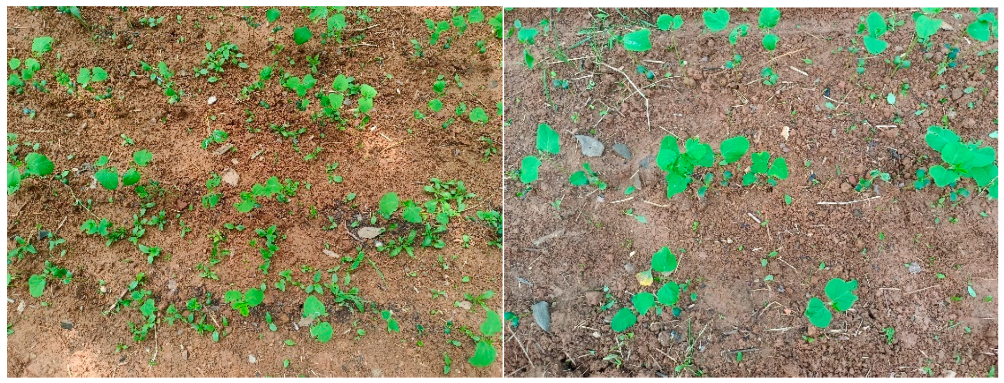 Agriculture 13 02157 g019