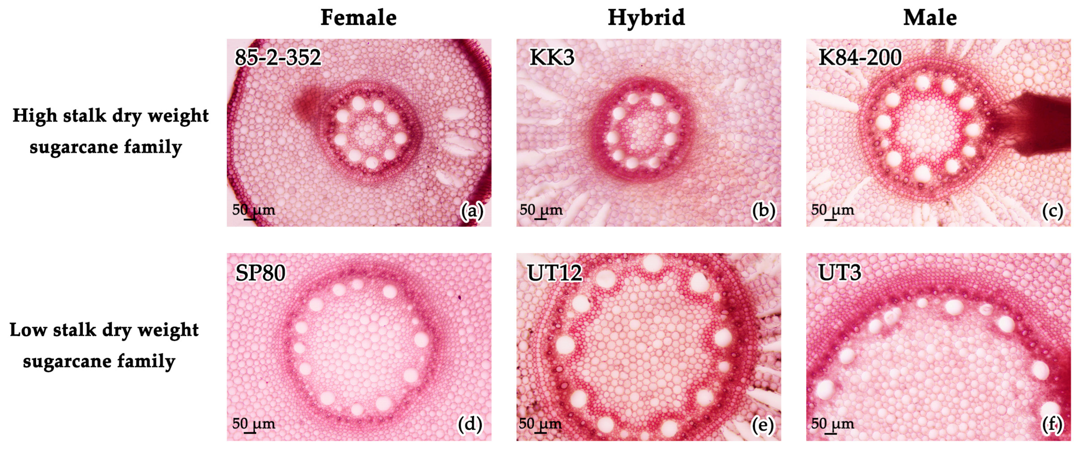 Agriculture 13 02234 g001