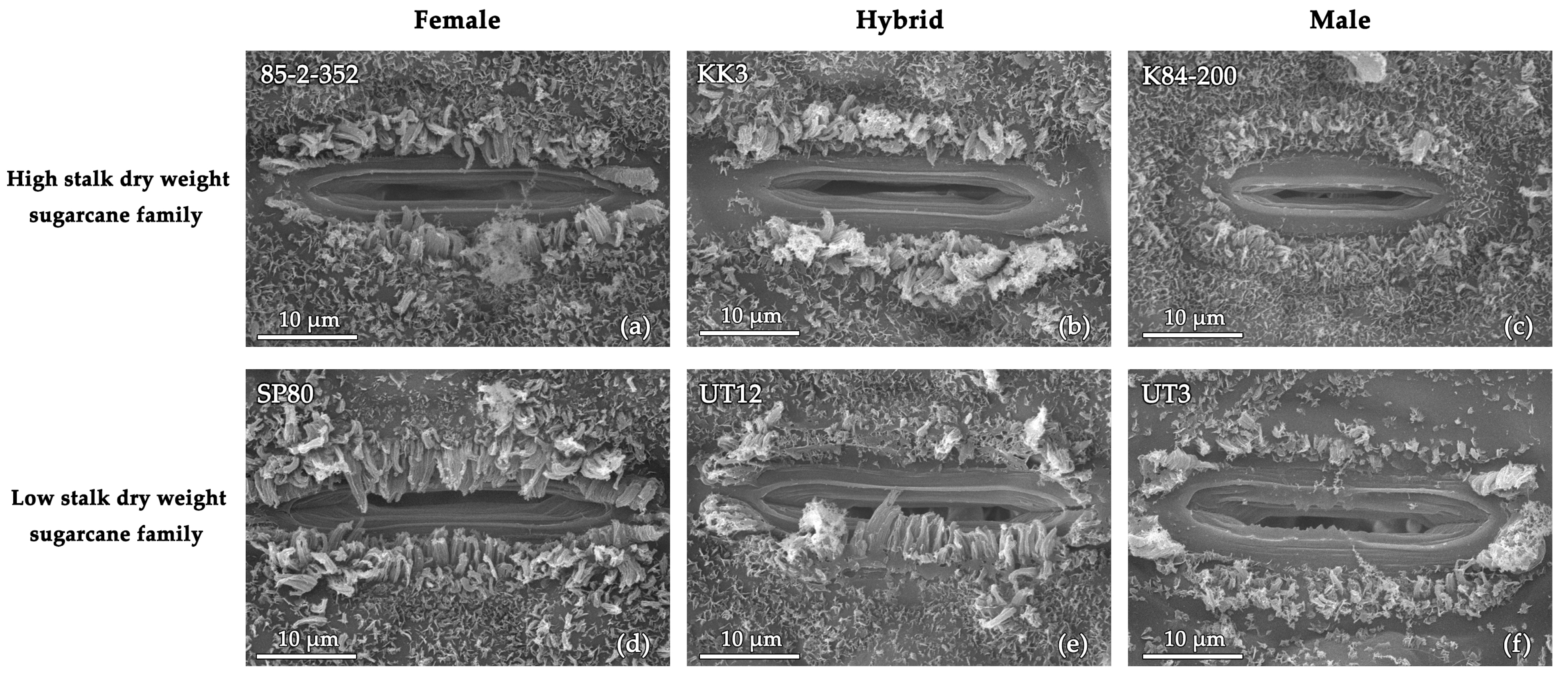 Agriculture 13 02234 g006