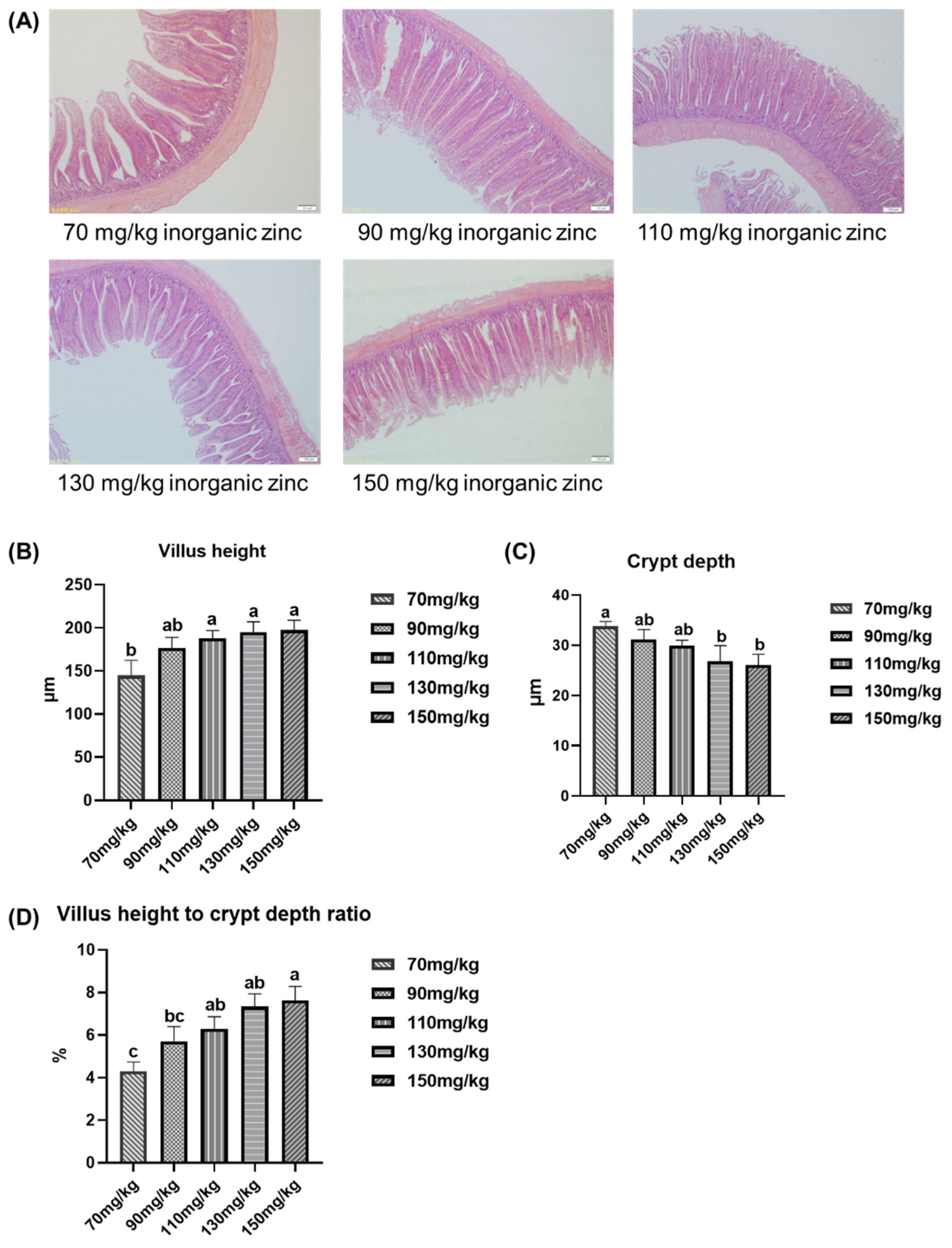 Agriculture Free Full Text Regulation of Inorganic Zinc