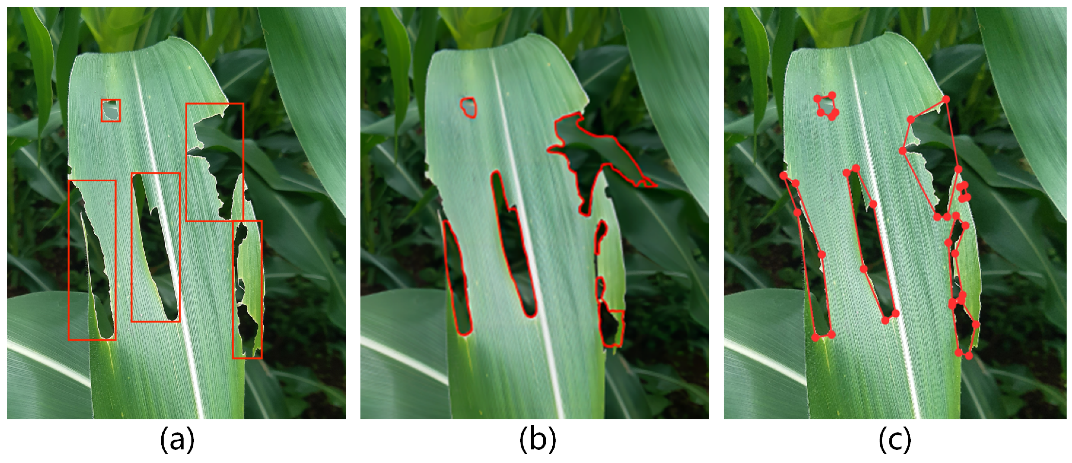 Agriculture 13 02253 g001