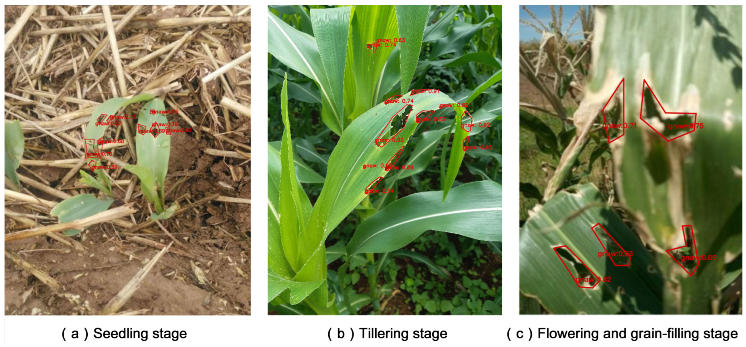 Agriculture 13 02253 g008