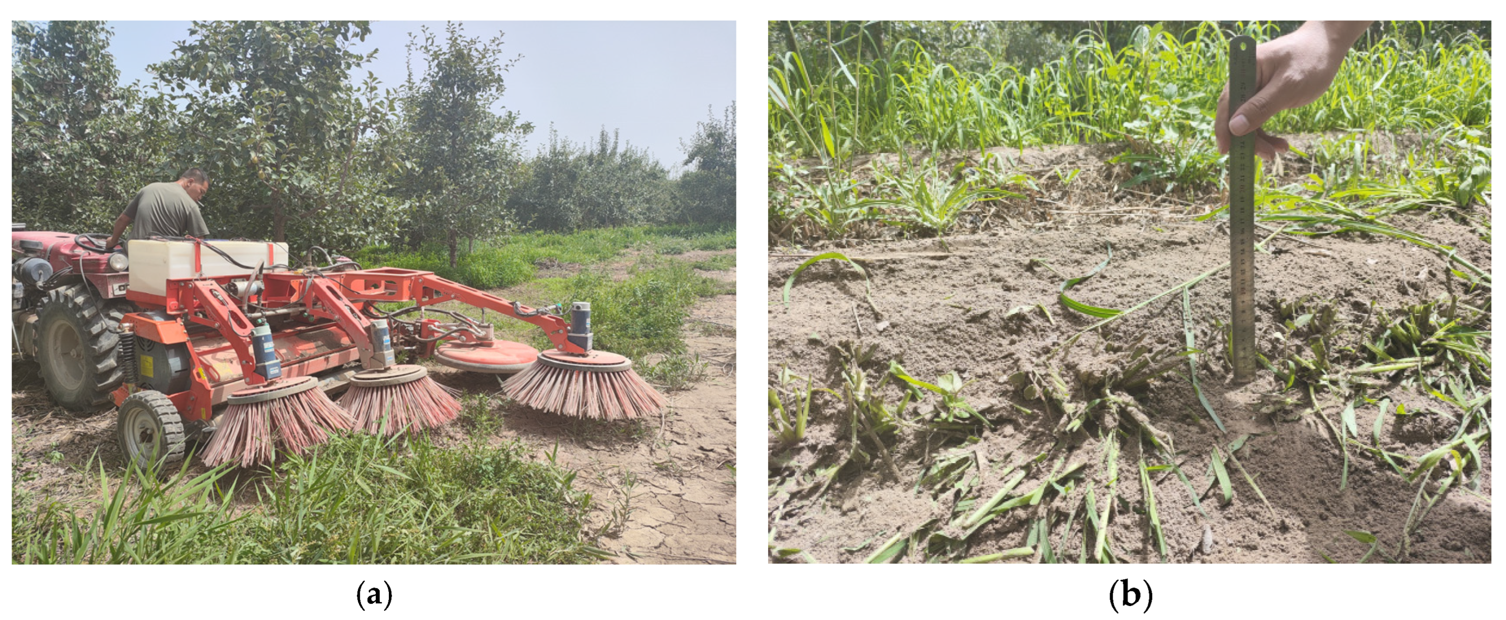 Agriculture 13 02276 g015