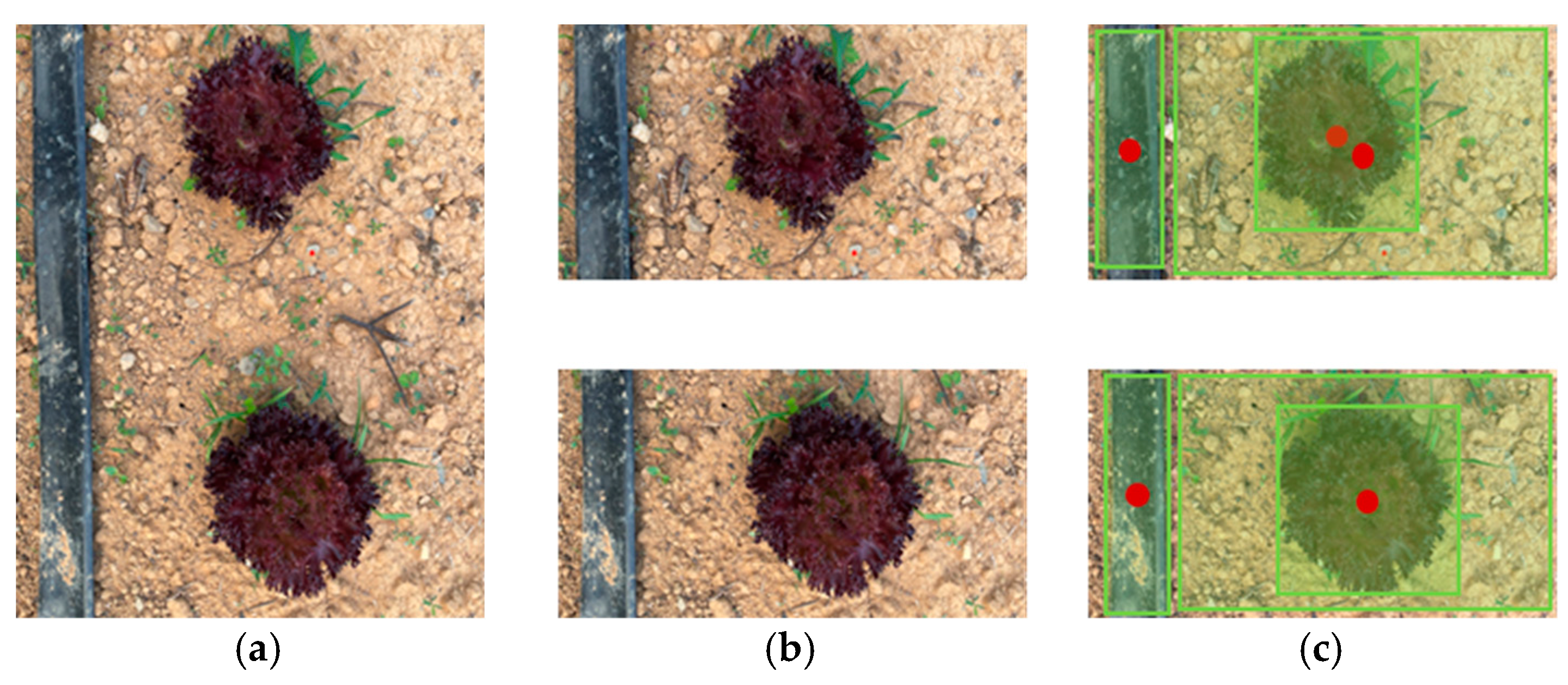 Agriculture 14 00057 g002