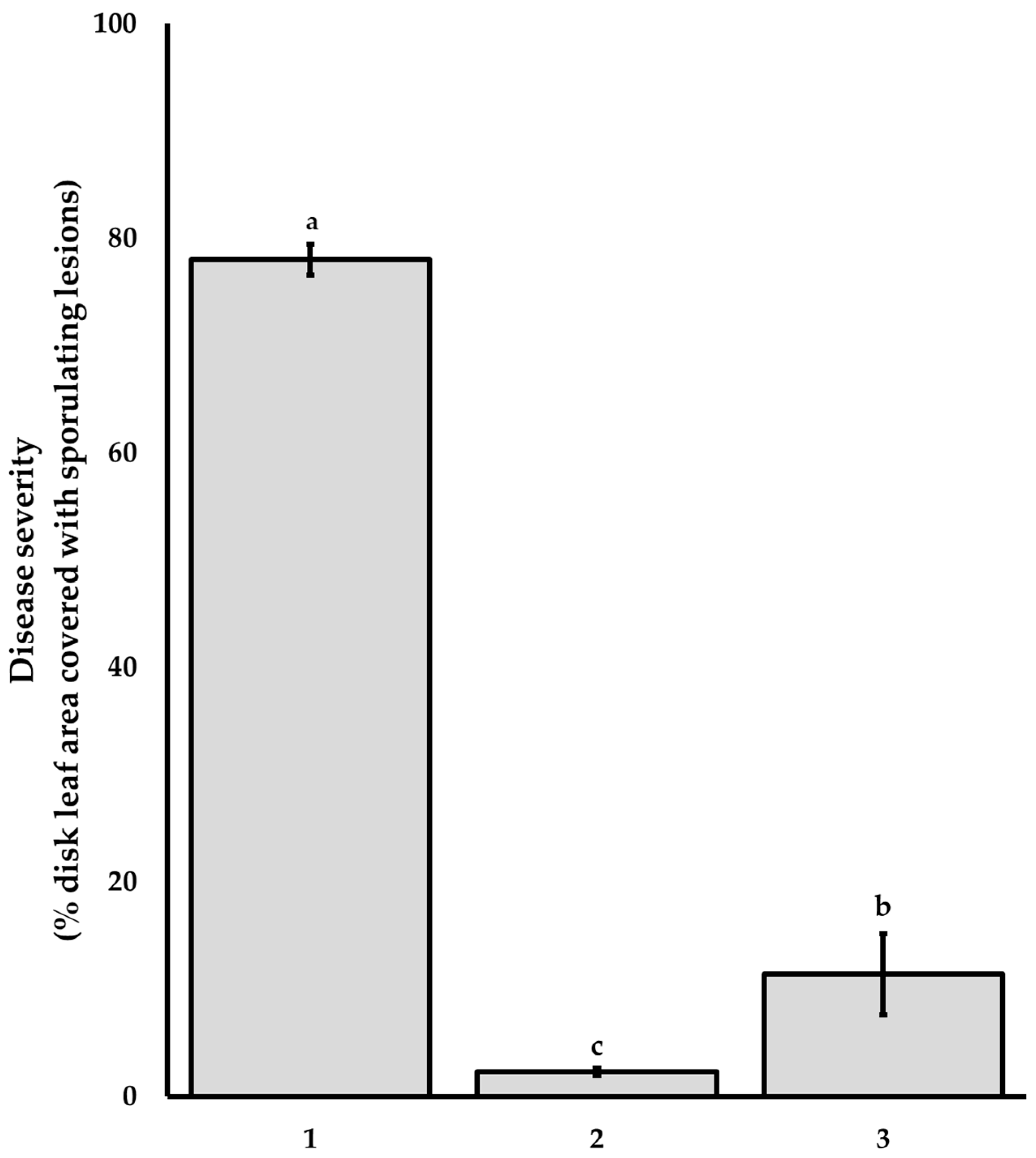 Agriculture 14 00058 g001