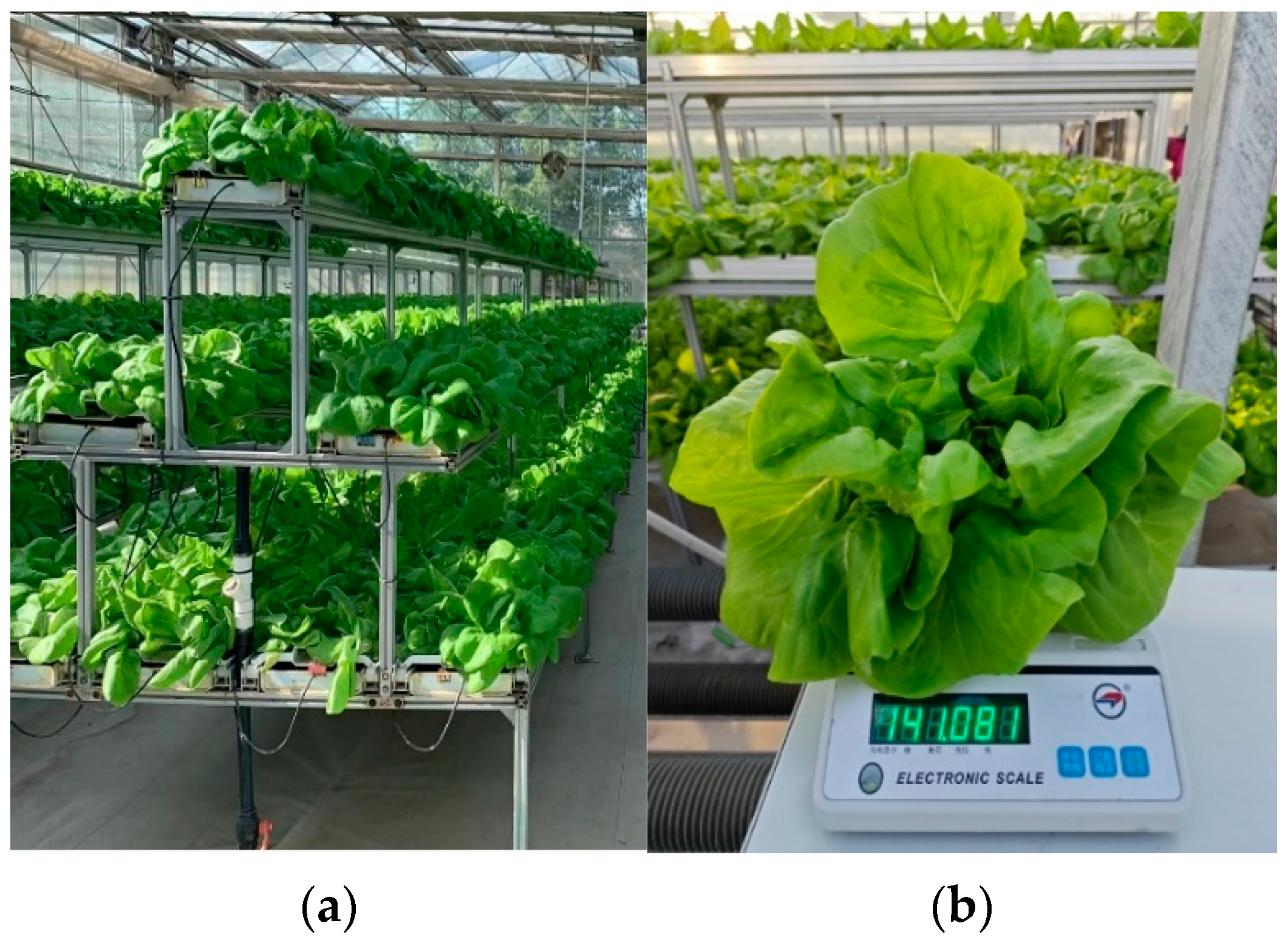 Agriculture 14 00084 g008