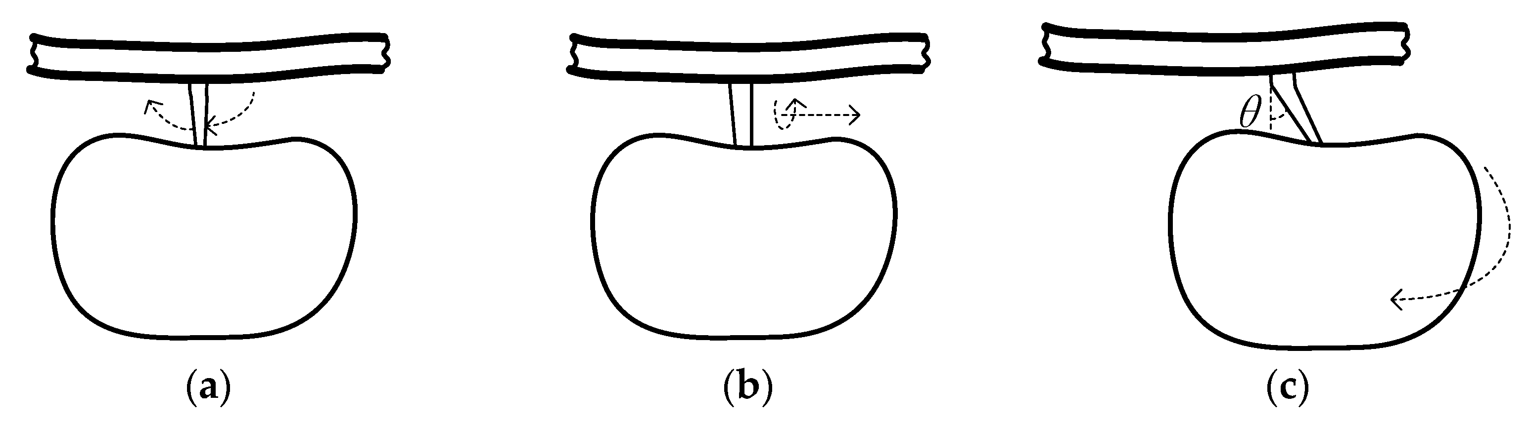 Agriculture 14 00102 g003