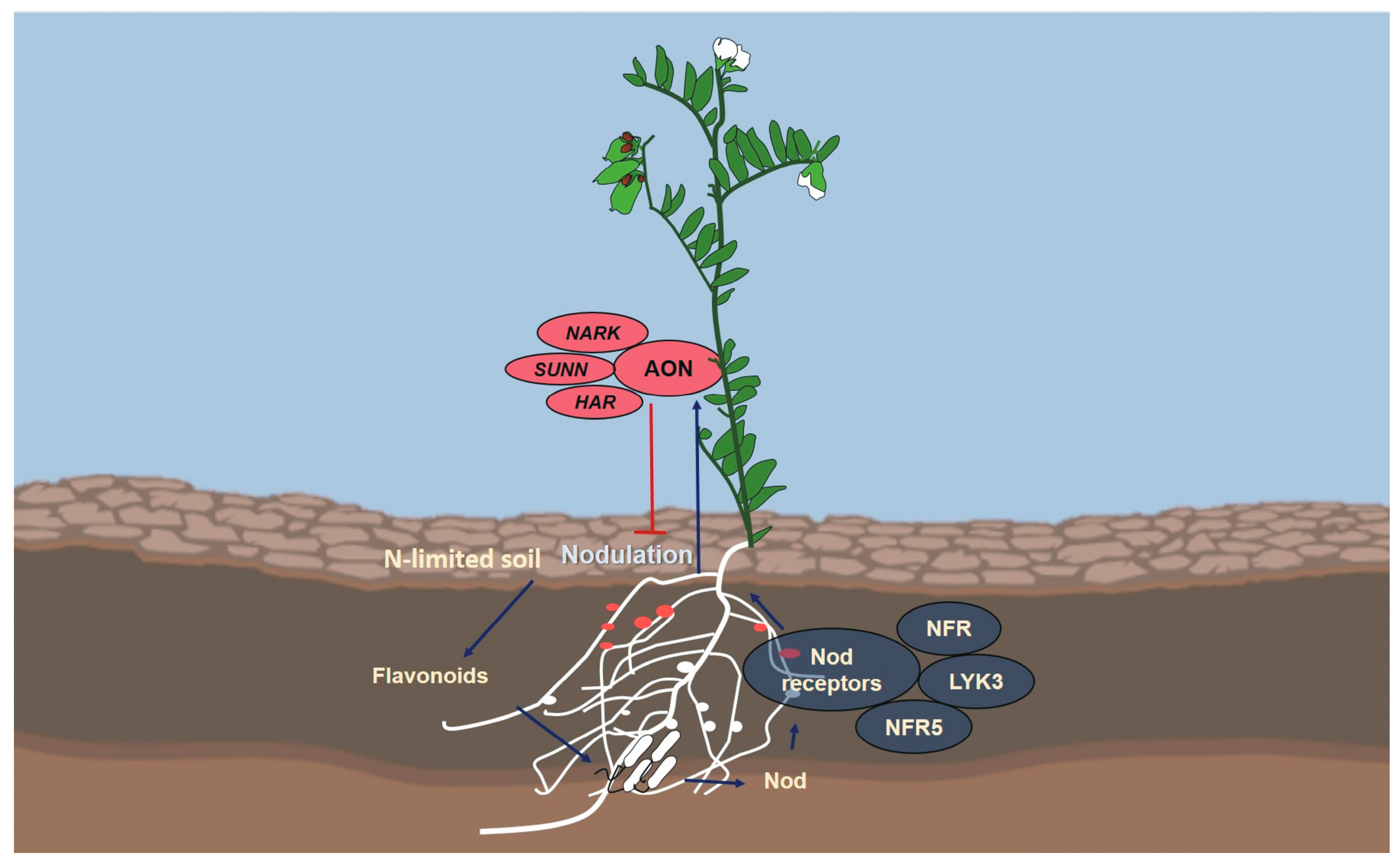 Agriculture 14 00103 g002