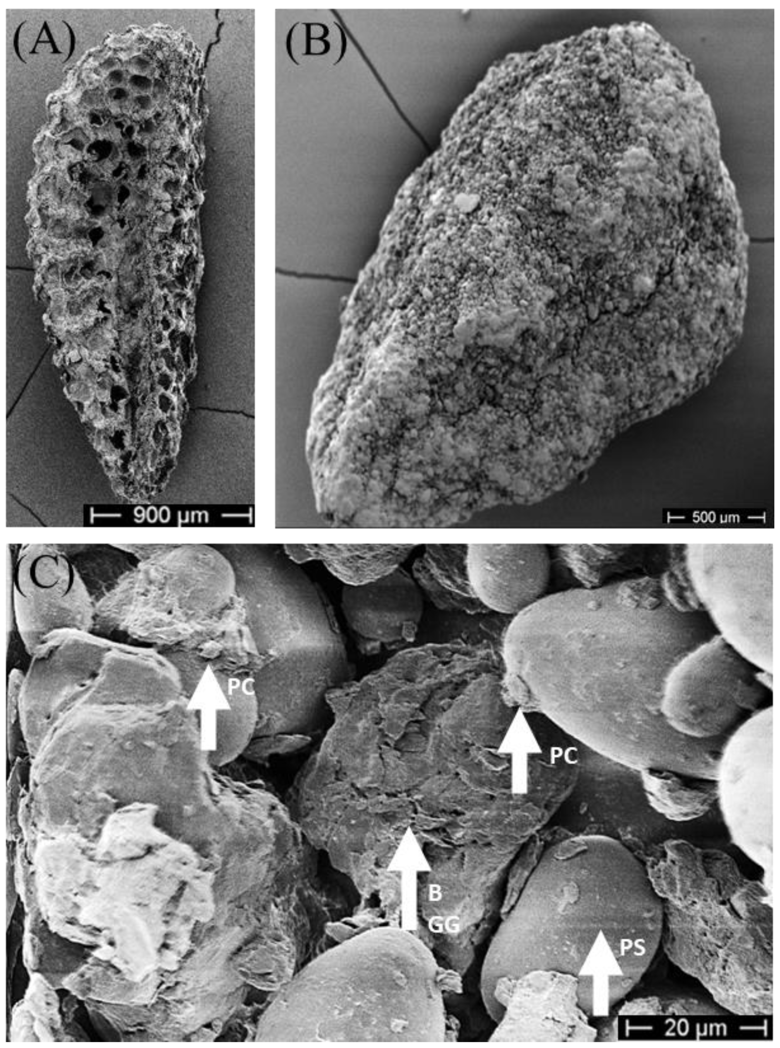 Agriculture 14 00138 g004