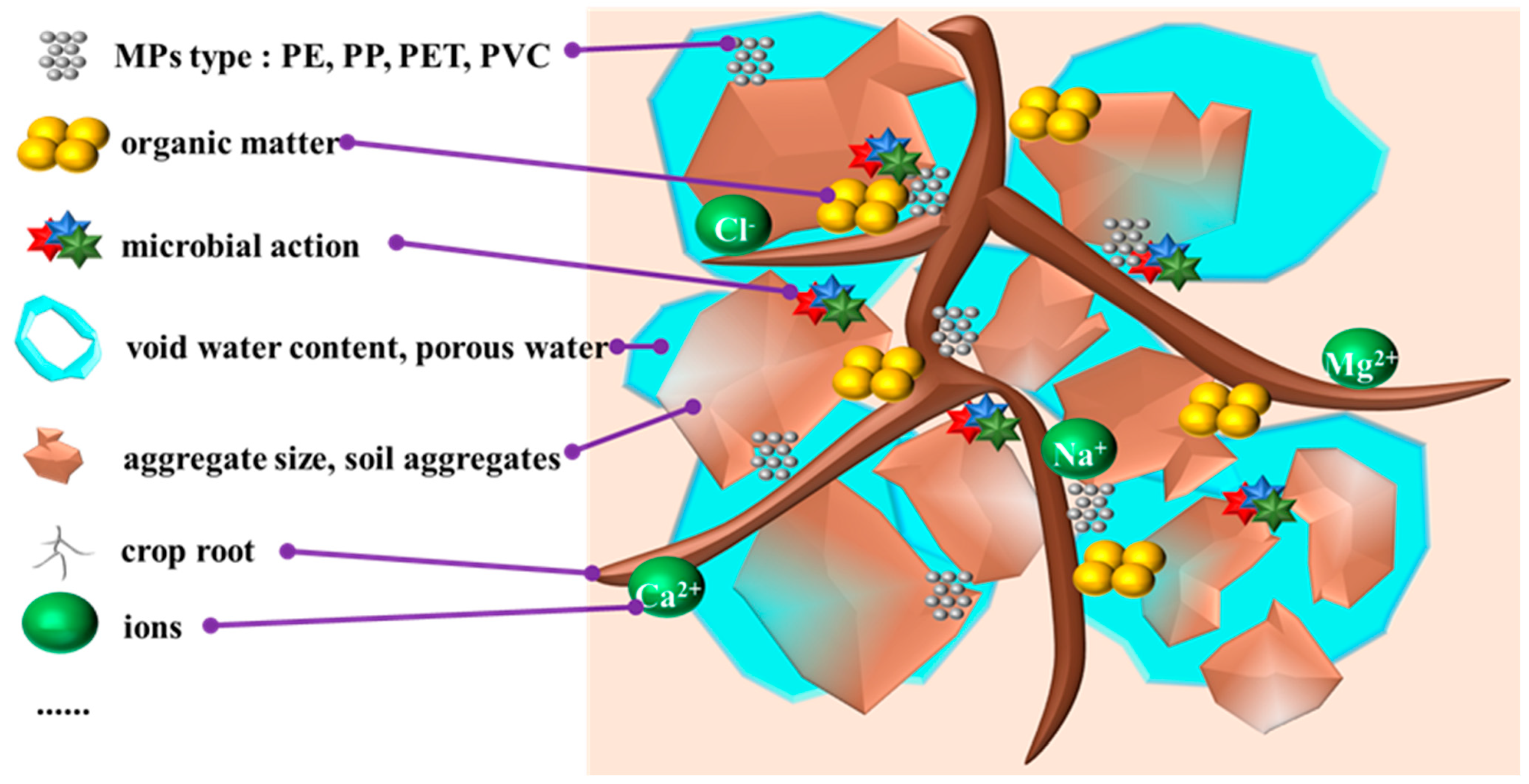 Agriculture 14 00157 g004