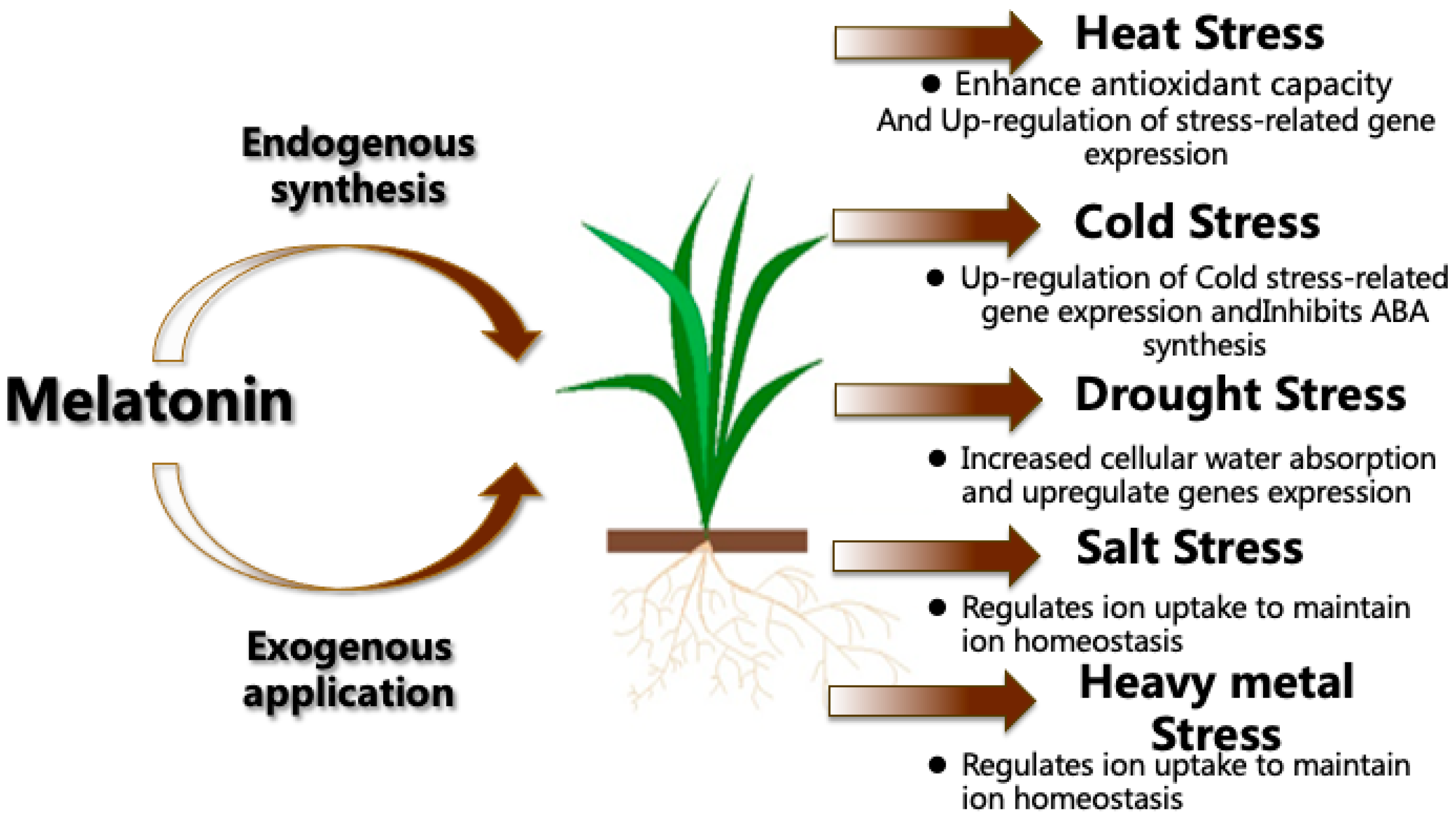 Agriculture 14 00171 g001