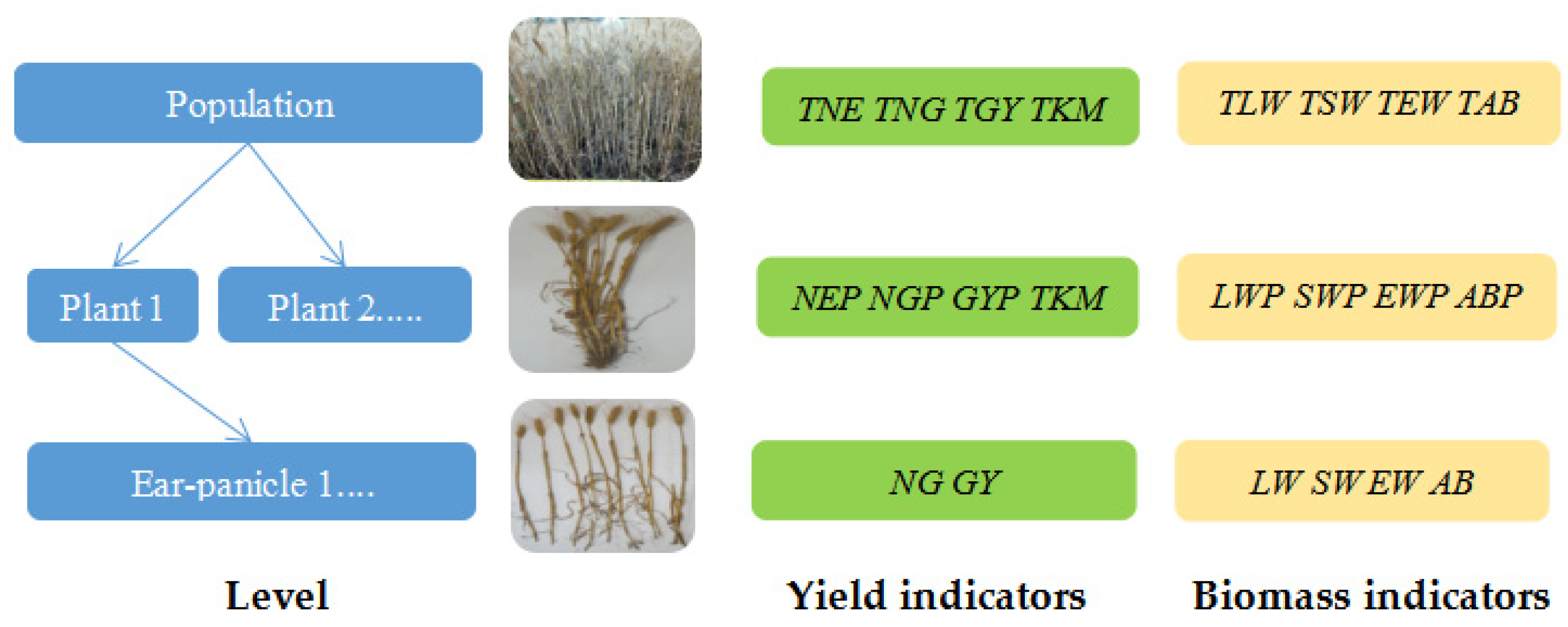 Agriculture 14 00176 g003