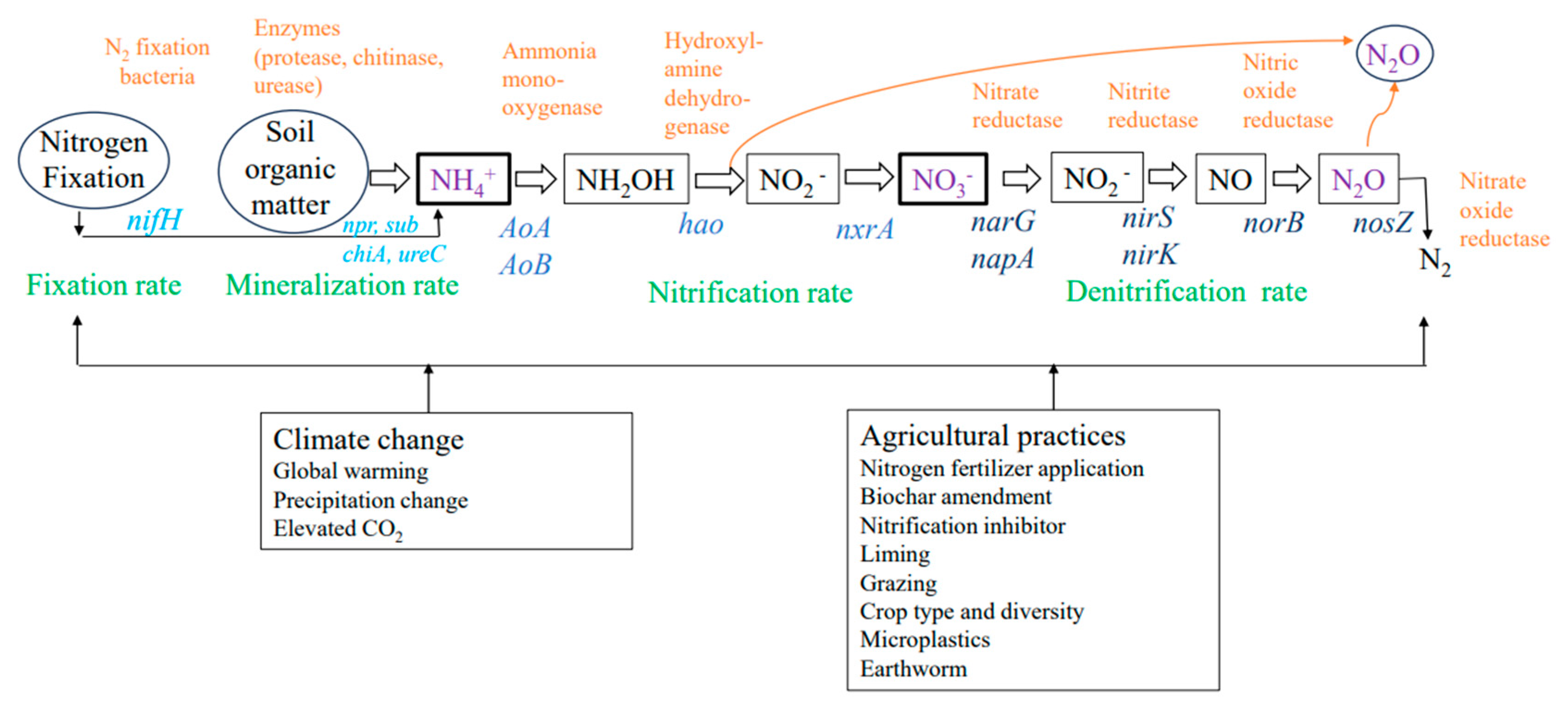 Agriculture 14 00240 g001