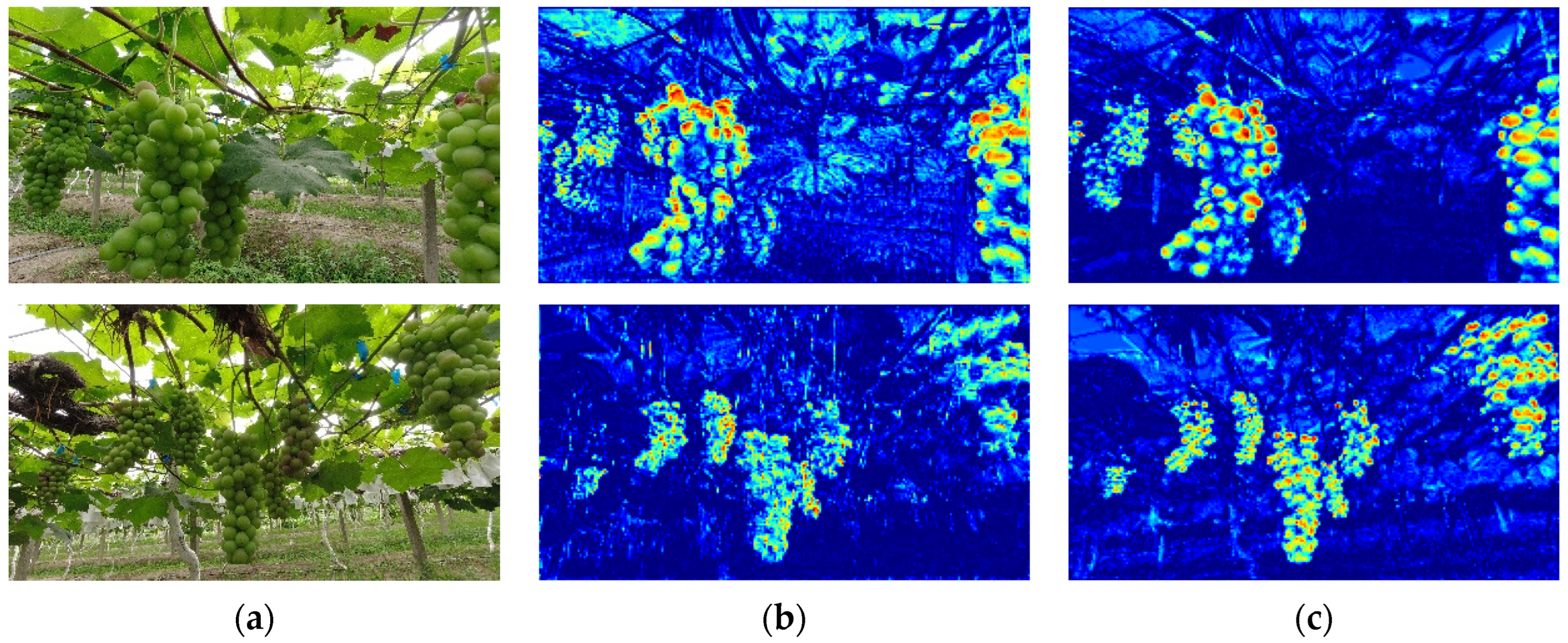 Agriculture 14 00262 g008