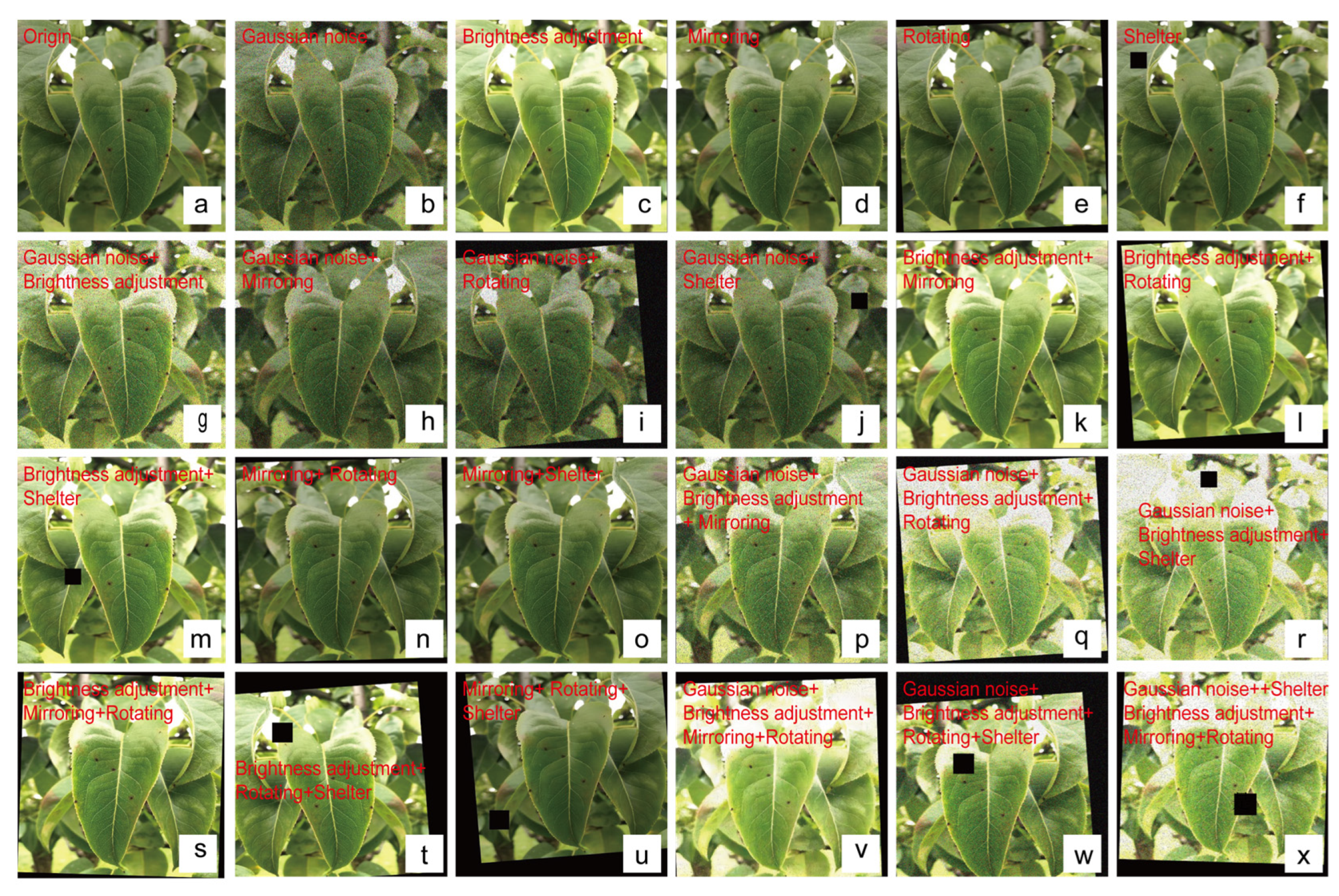 Agriculture 14 00273 g002