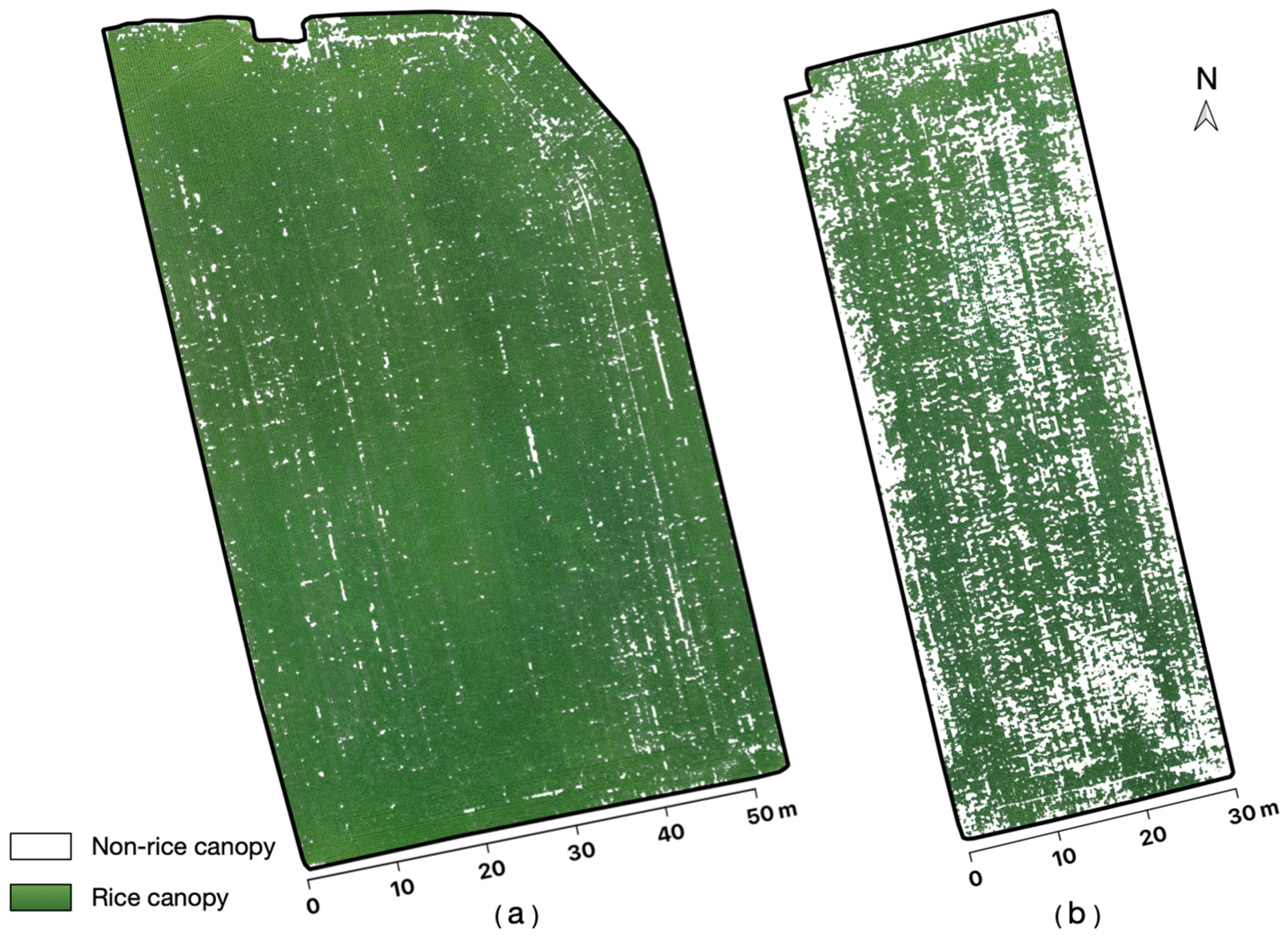 Agriculture 14 00299 g007 Agriculture 14 00299 g007