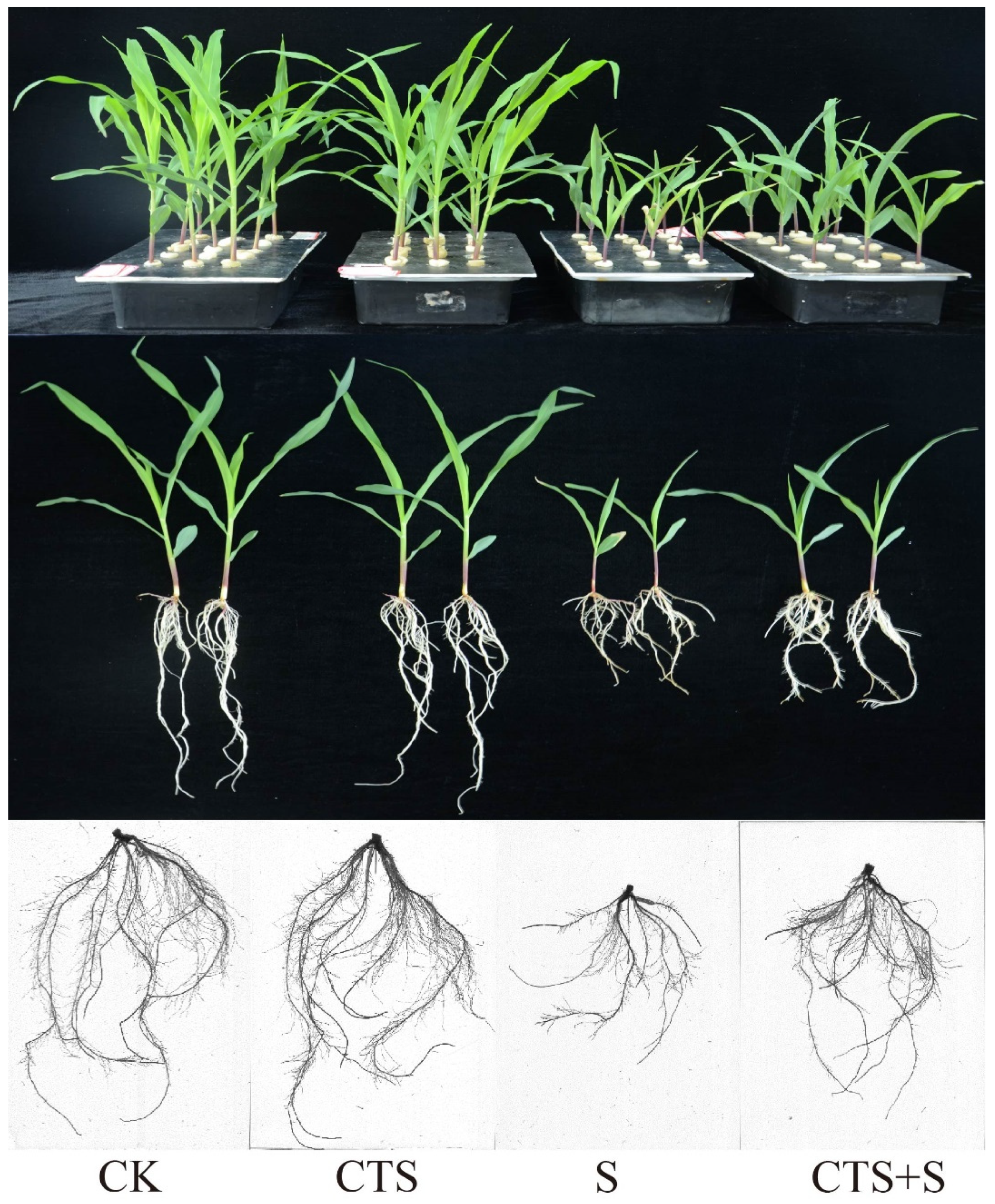 Agriculture 14 00304 g001