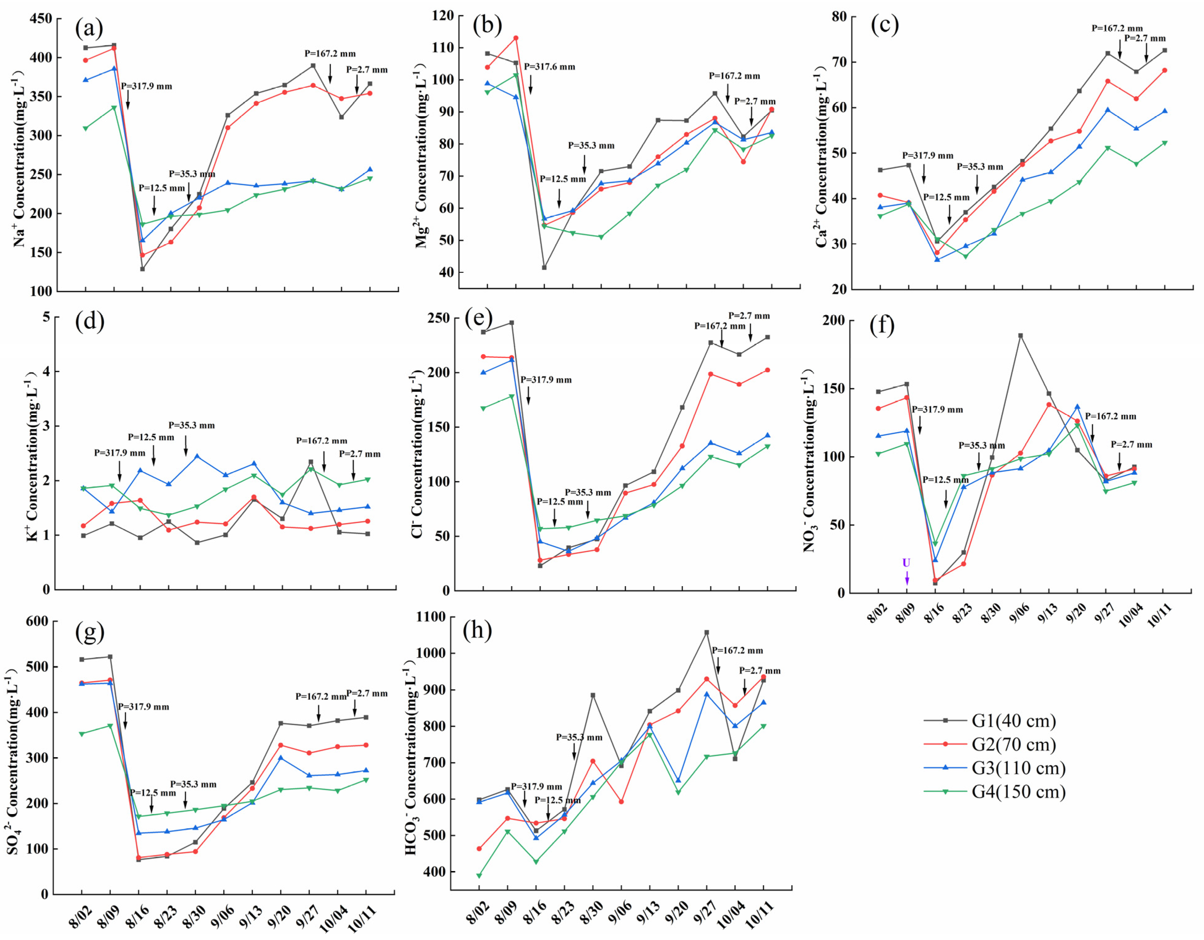 Agriculture 14 00341 g010 Agriculture 14 00341 g010
