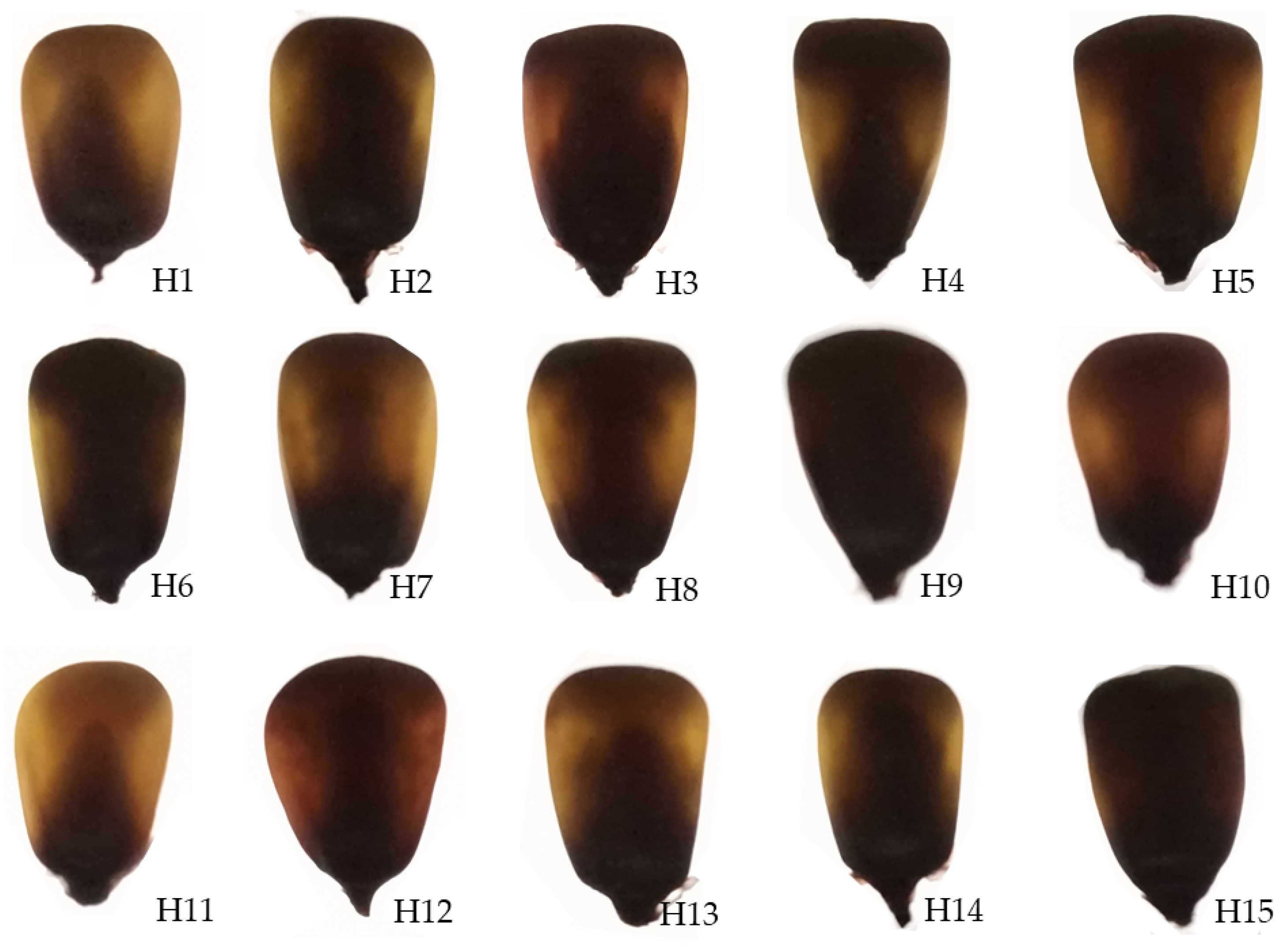 Agriculture 14 00384 g002