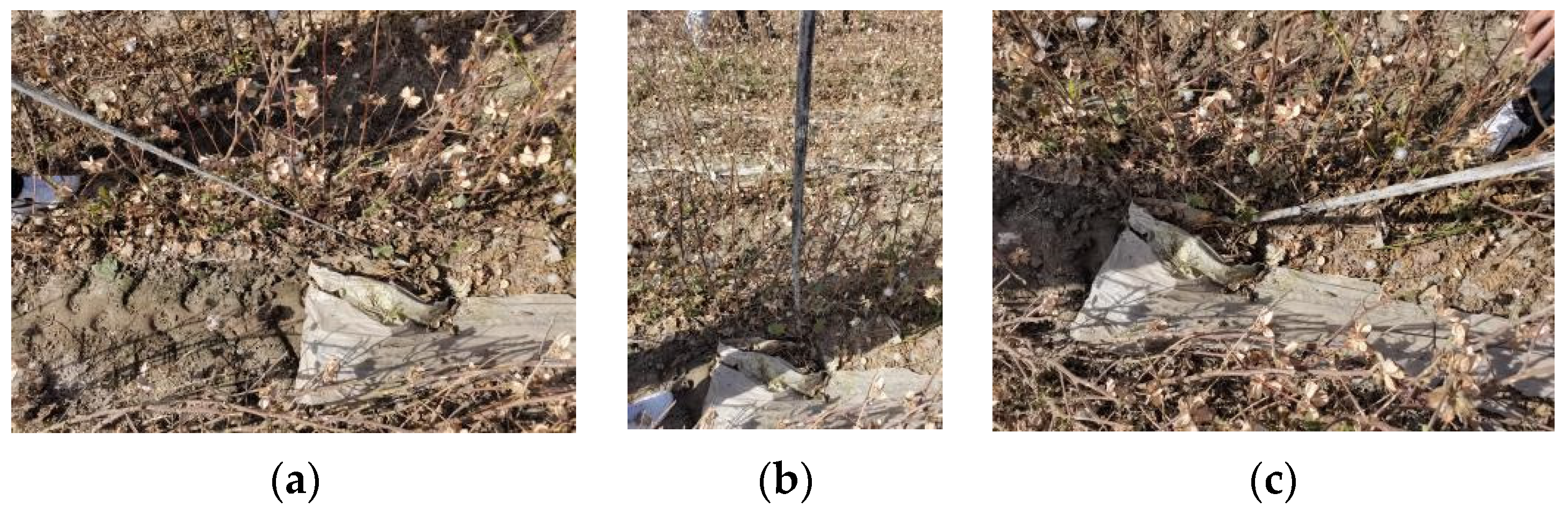 Agriculture 14 00421 g003