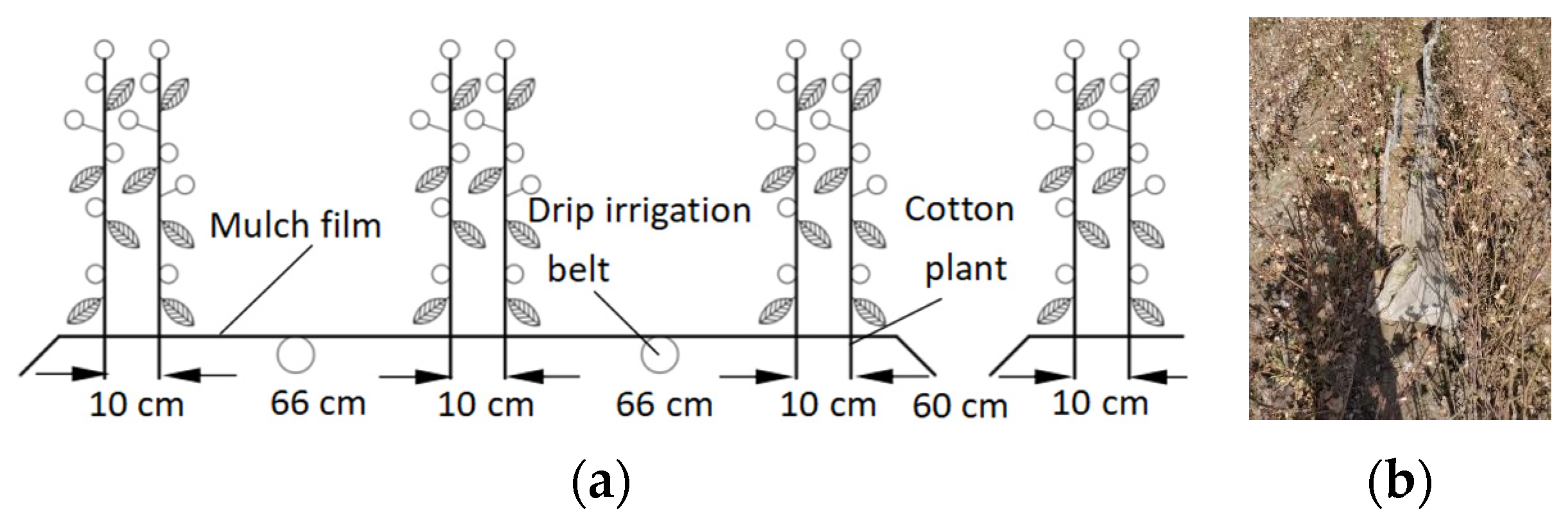 Agriculture 14 00421 g007