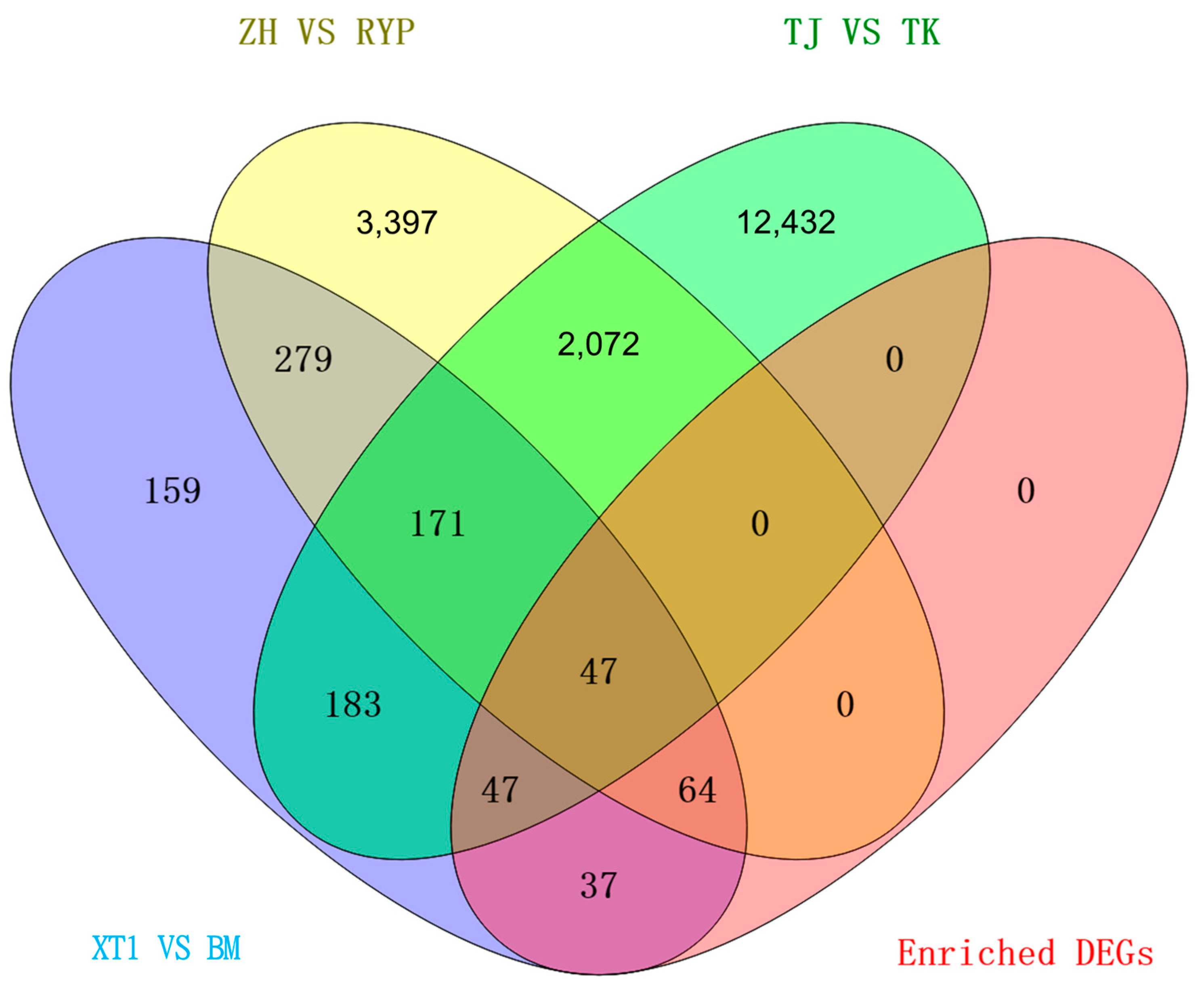 Agriculture 14 00427 g003