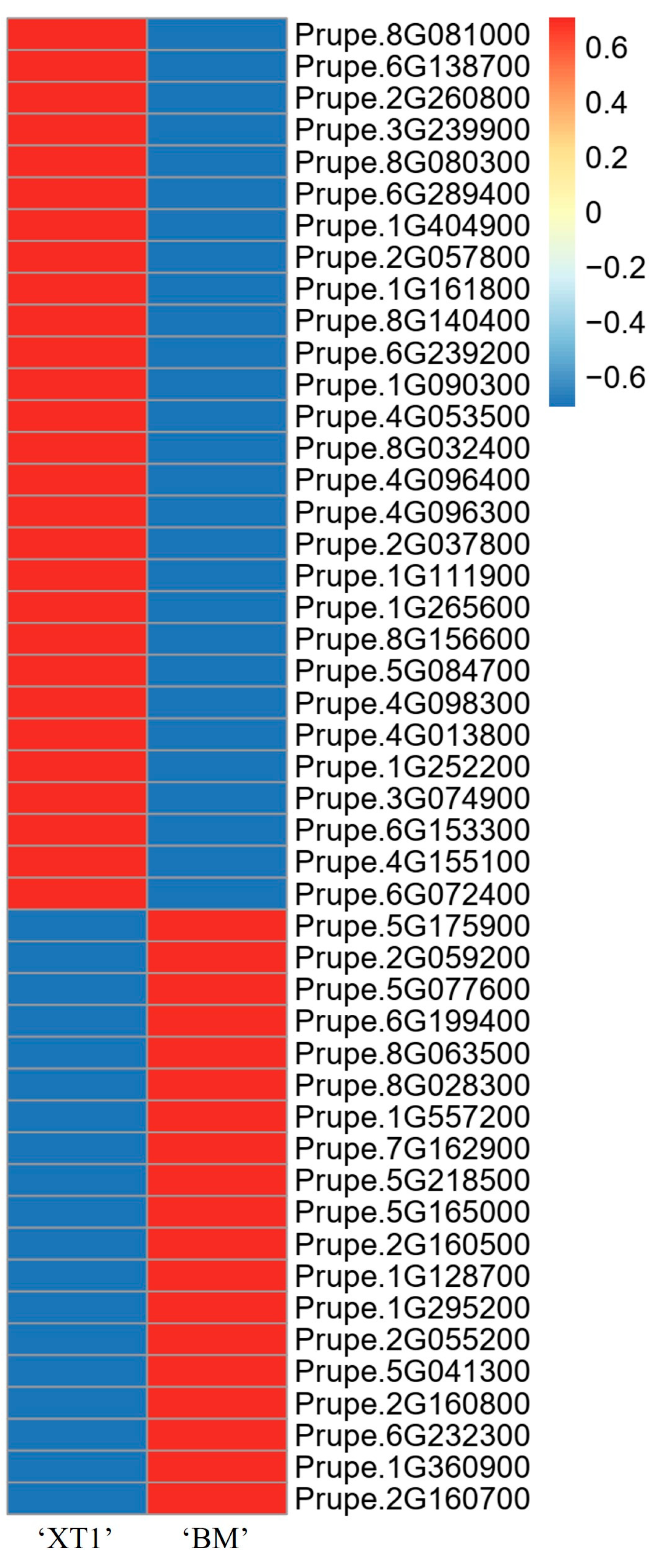 Agriculture 14 00427 g004