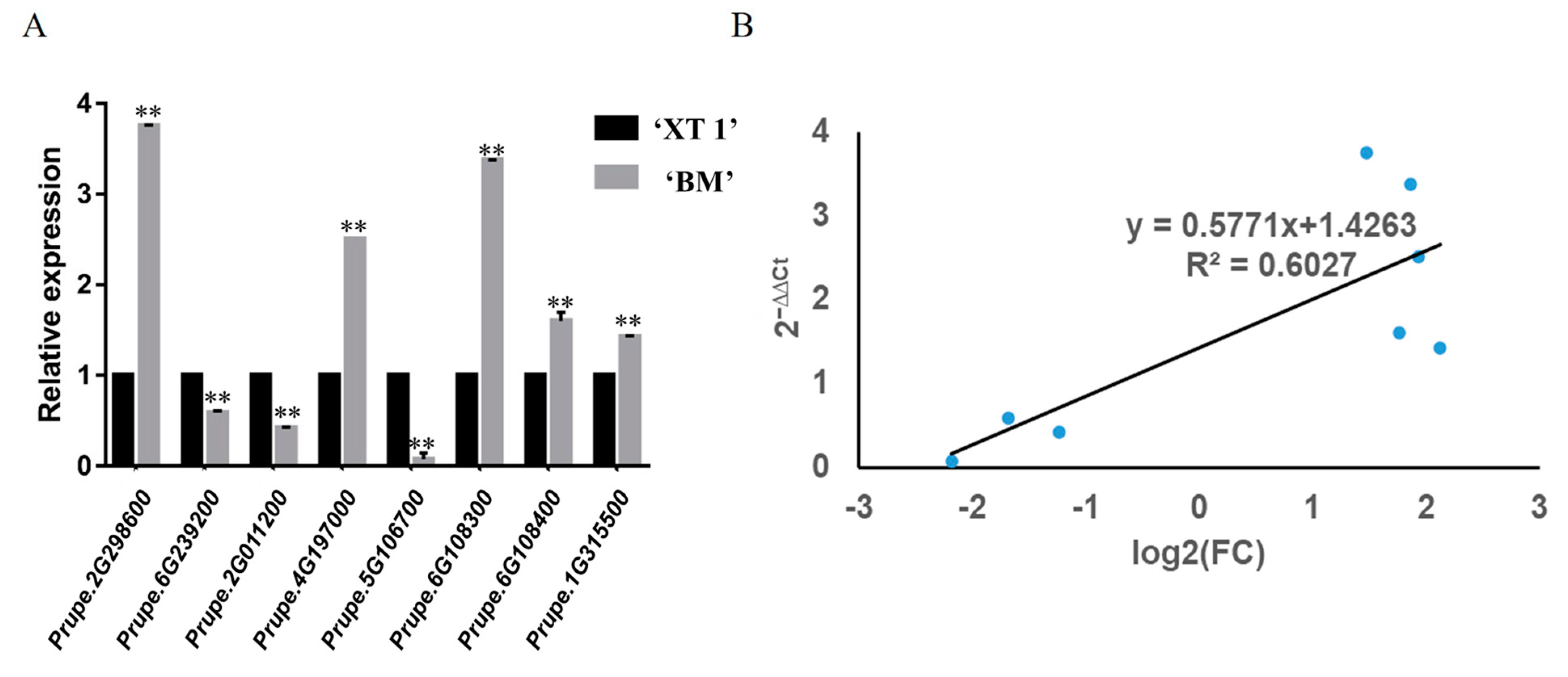 Agriculture 14 00427 g006
