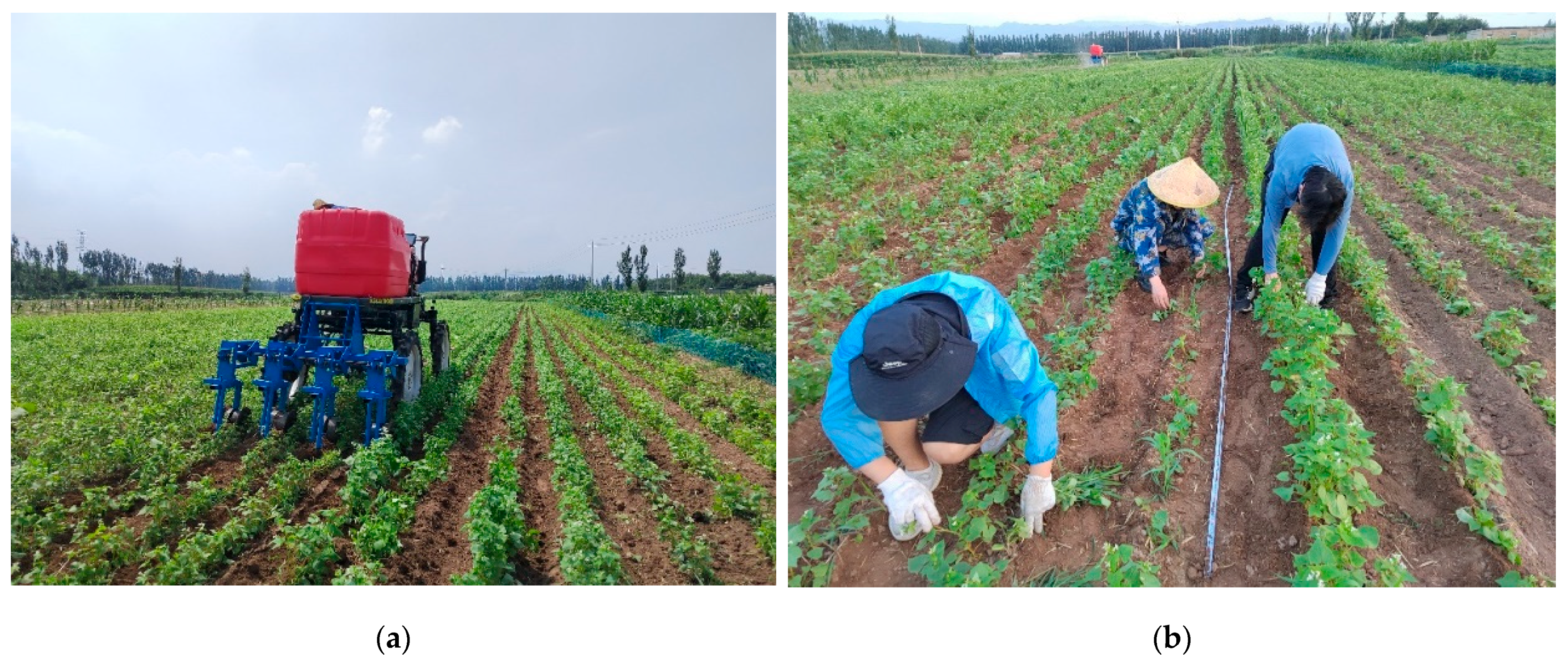 Agriculture 14 00435 g009