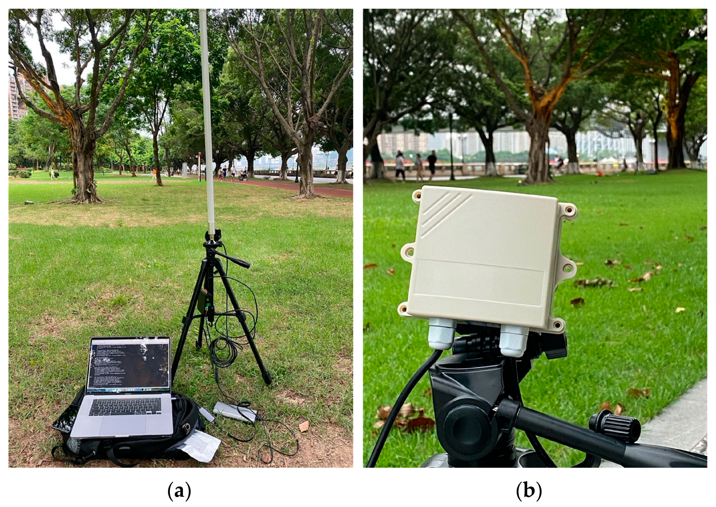 Agriculture 14 00460 g003