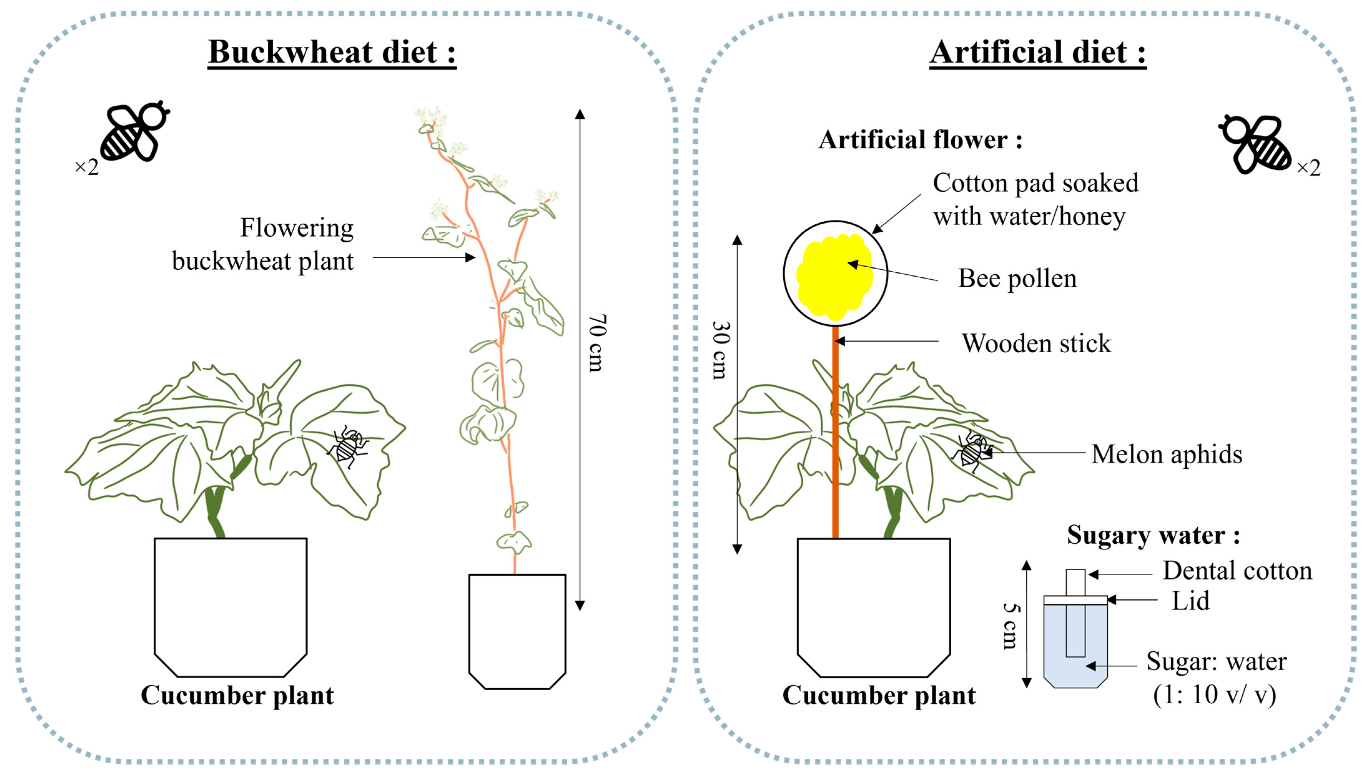 Agriculture 14 00527 g001 Agriculture 14 00527 g001